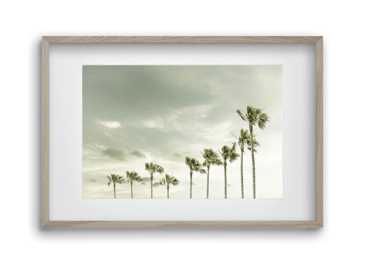Vintage Palm Trees at the beach - artbridge