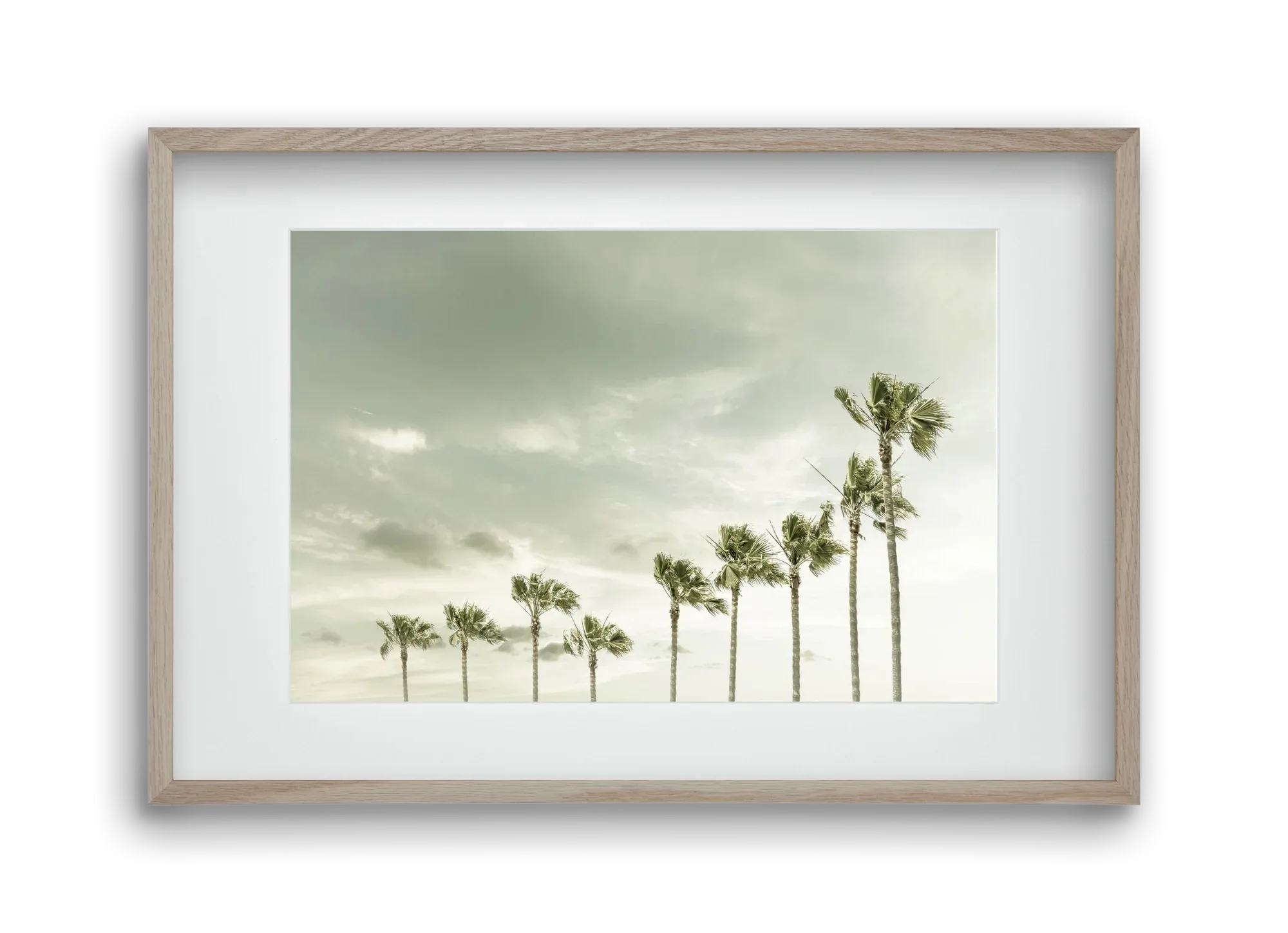 Vintage Palm Trees at the beach - artbridge