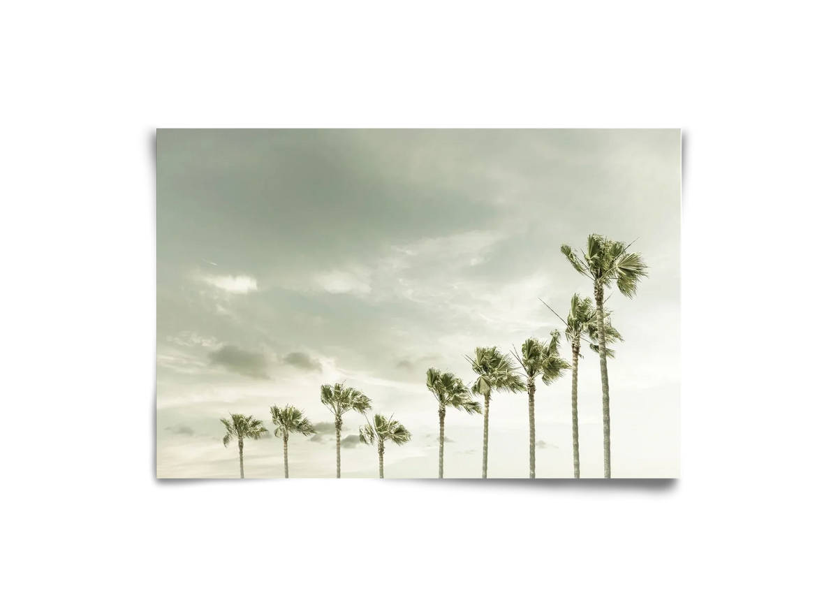 Vintage Palm Trees at the beach - artbridge