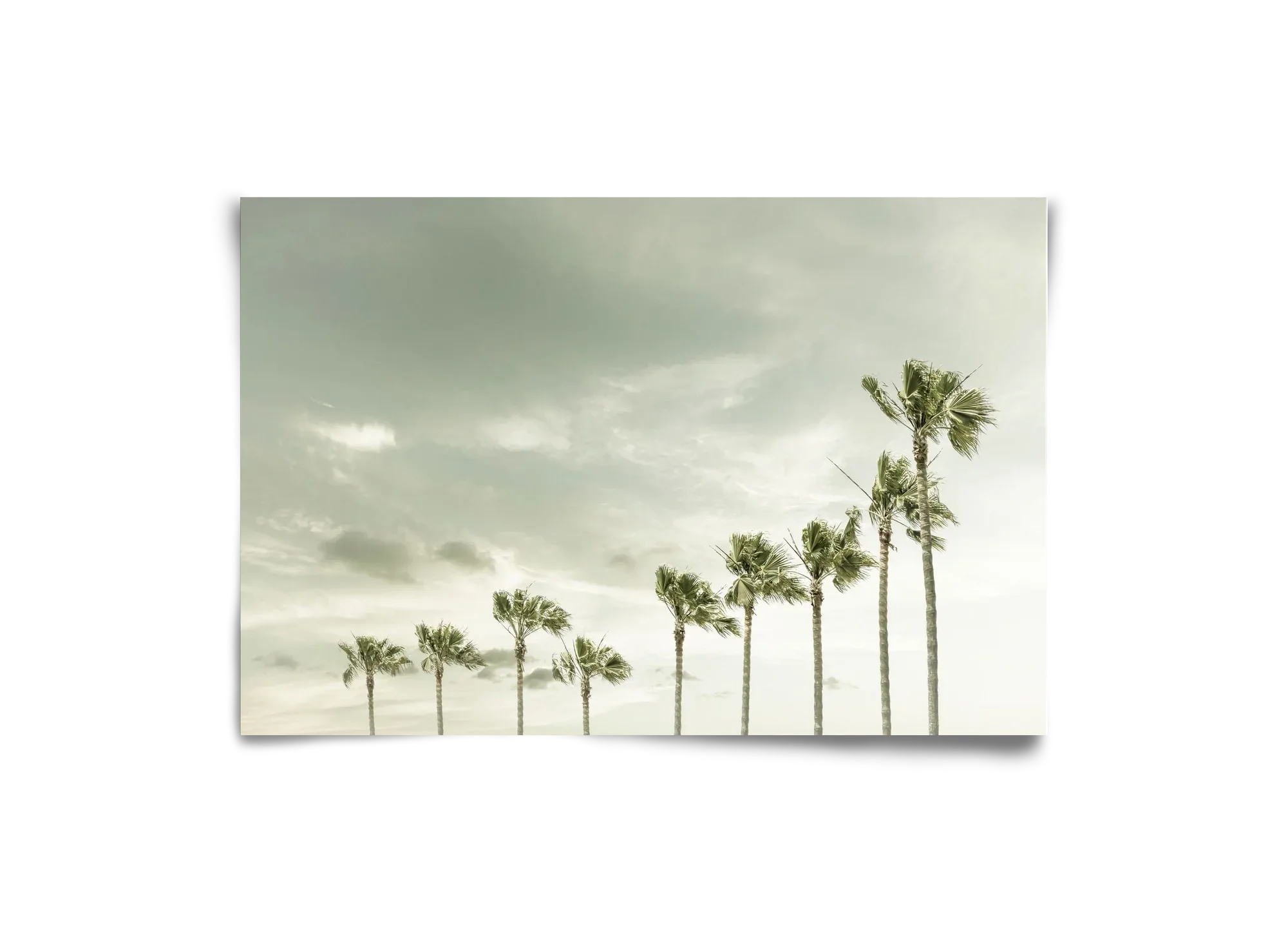 Vintage Palm Trees at the beach - artbridge
