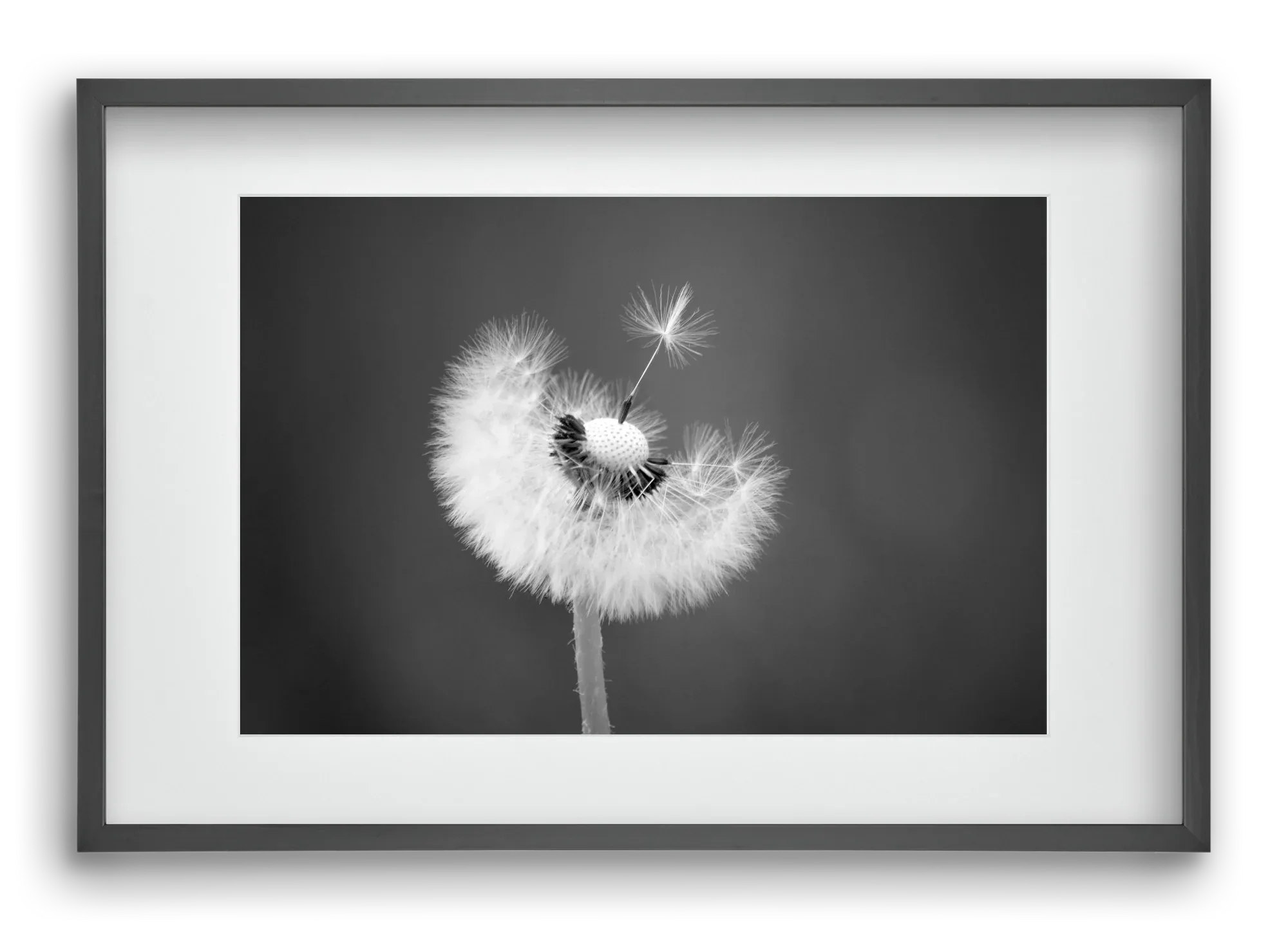 Loyalty - artbridge