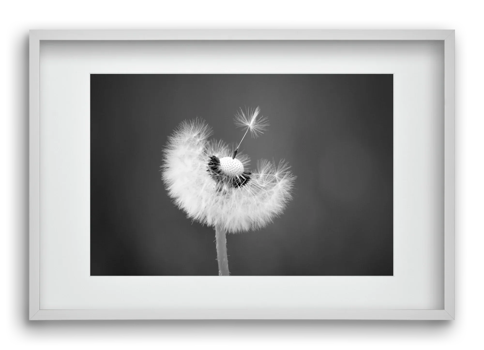 Loyalty - artbridge