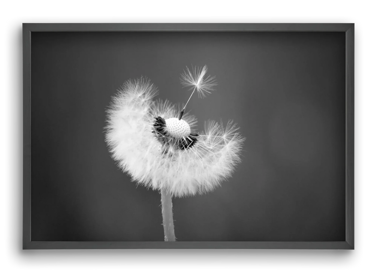 Loyalty - artbridge