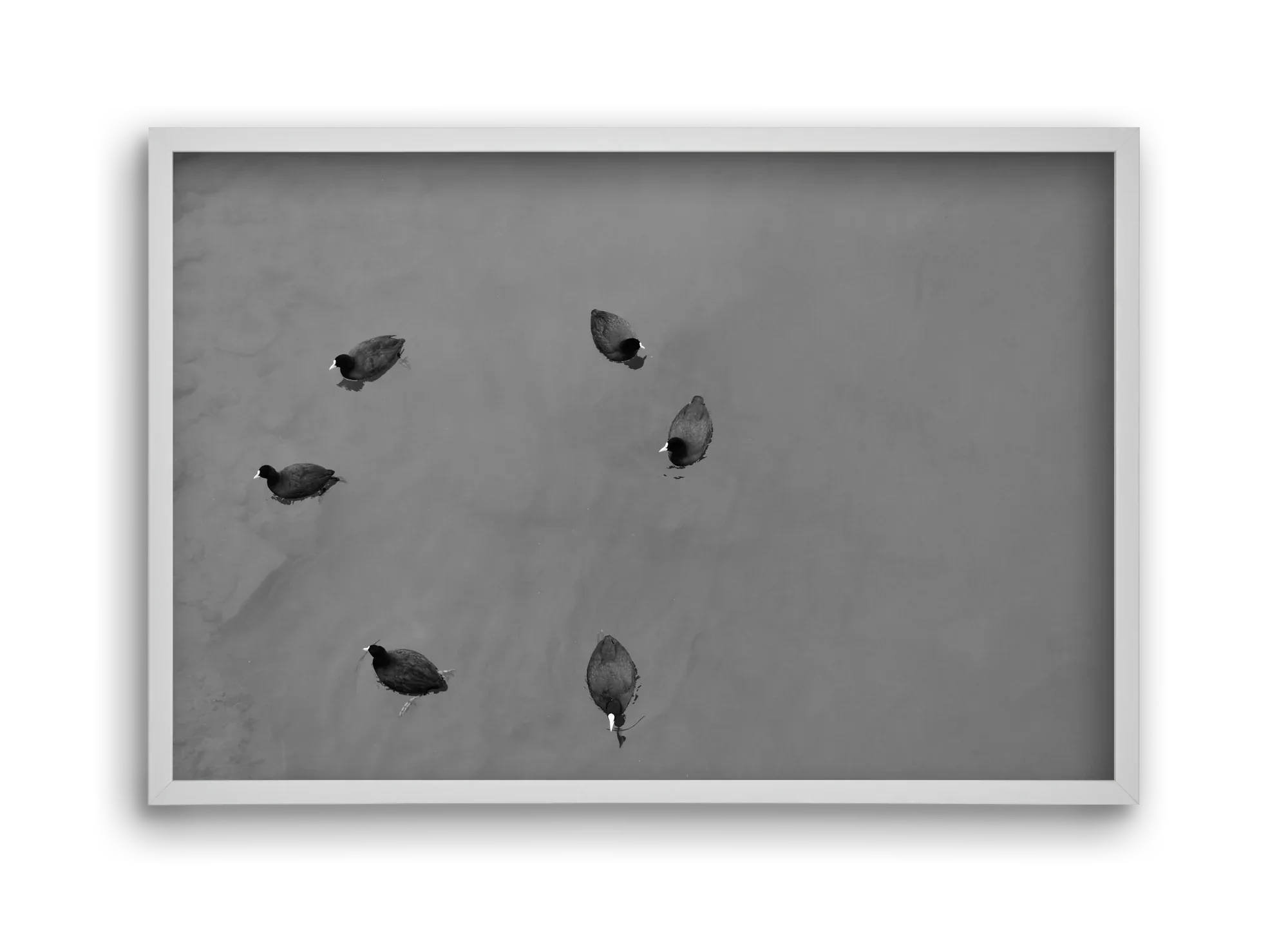 Round - artbridge