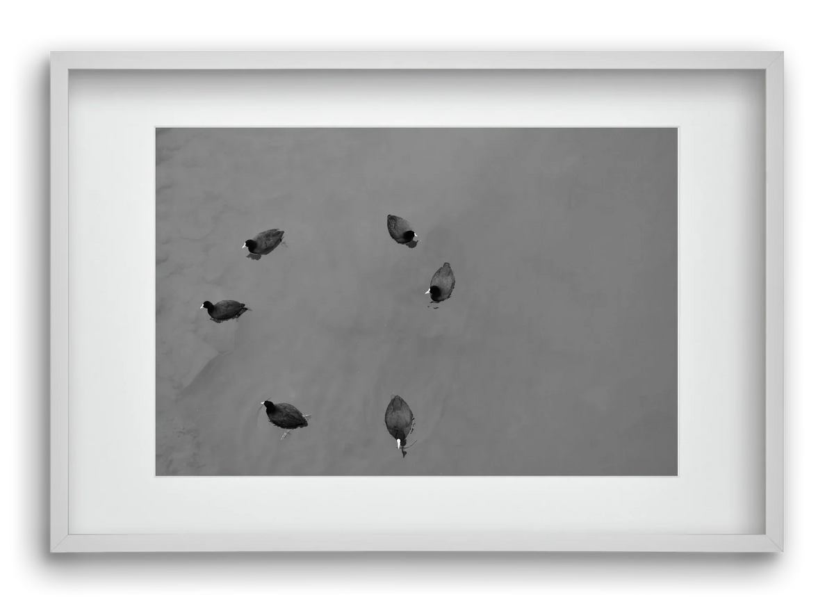 Round - artbridge