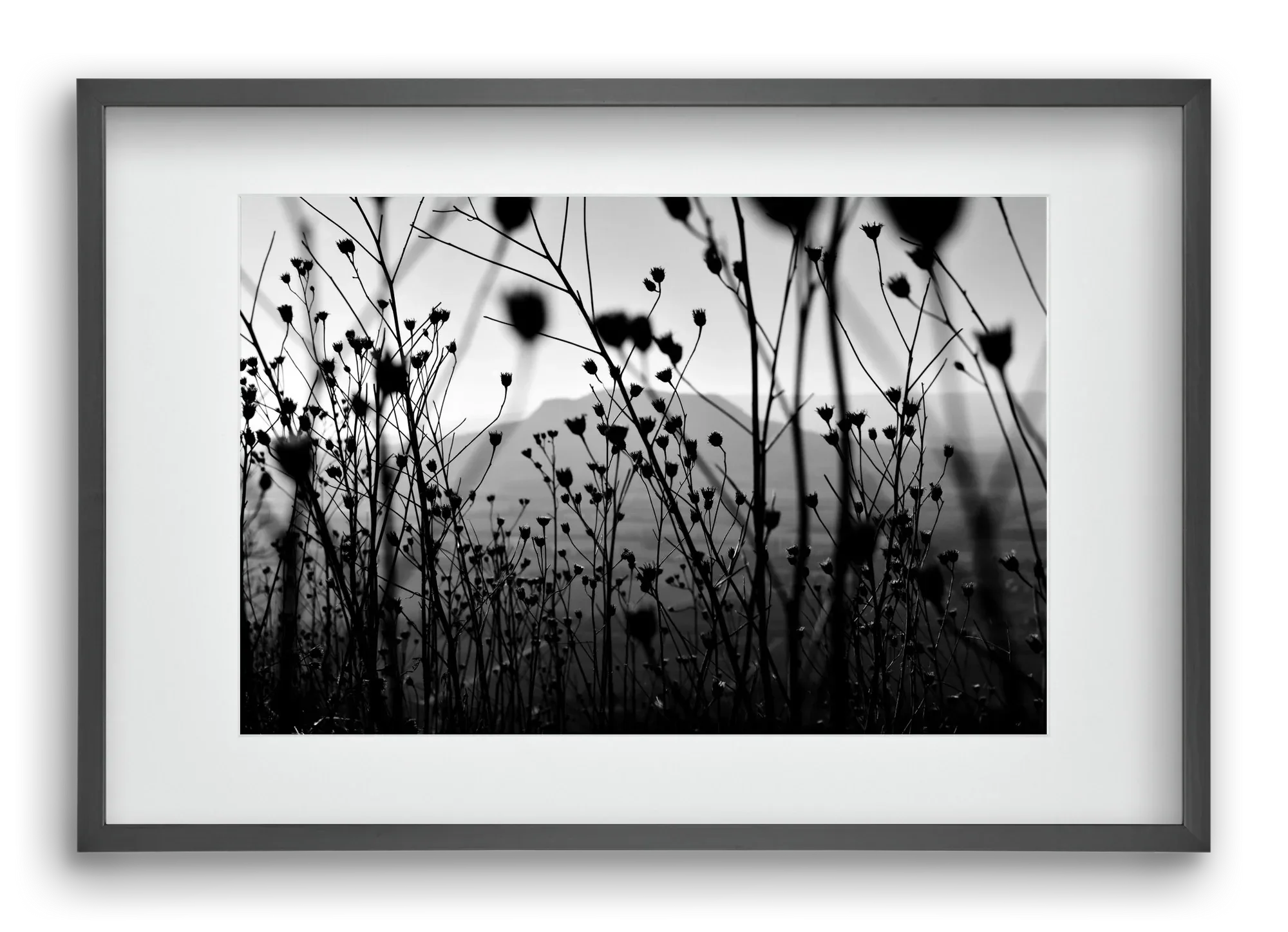 Csobanc - artbridge