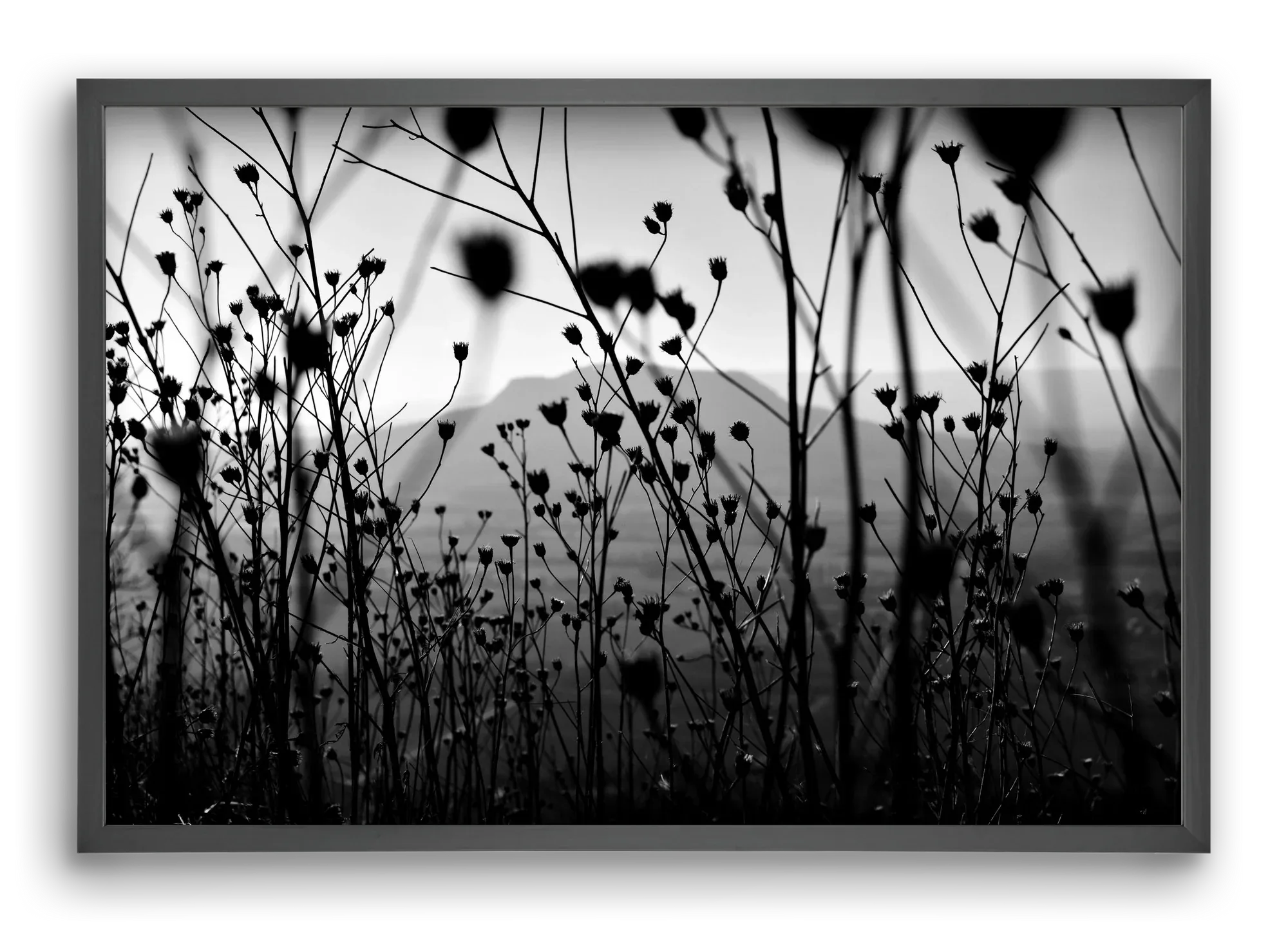 Csobanc - artbridge