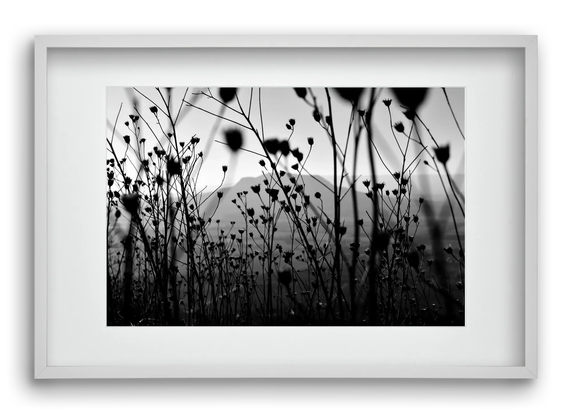 Csobanc - artbridge