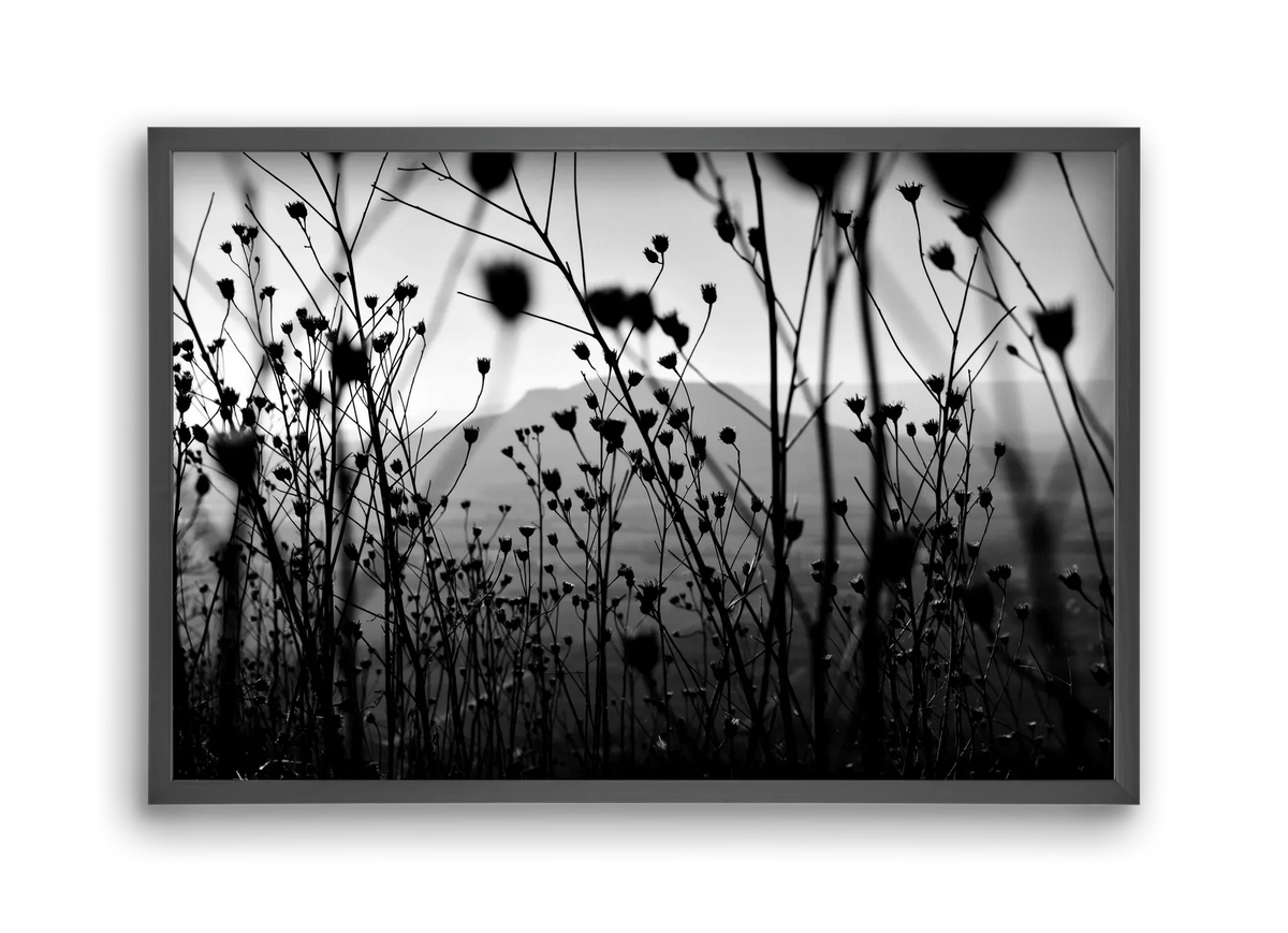 Csobanc - artbridge