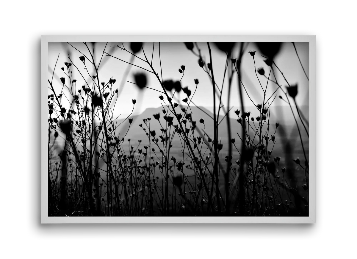 Csobanc - artbridge