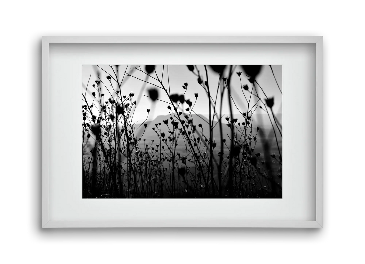 Csobanc - artbridge