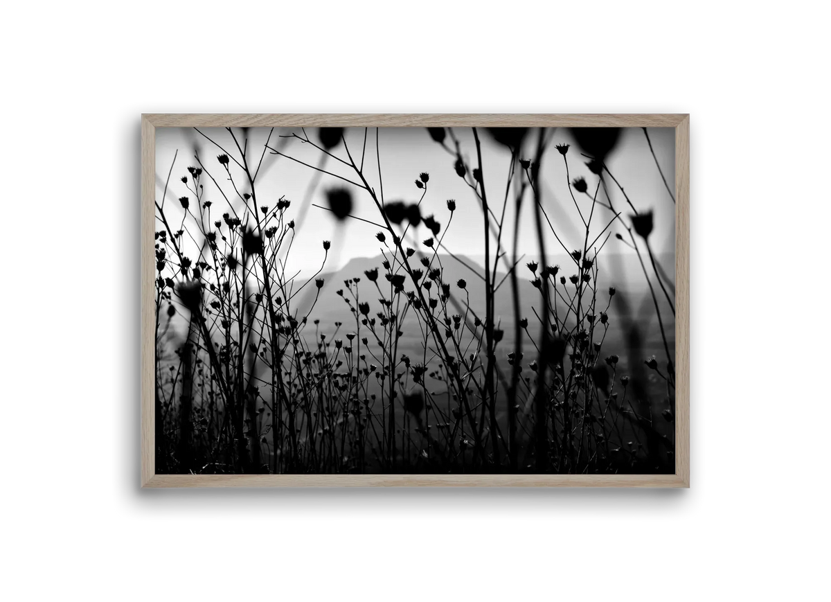Csobanc - artbridge