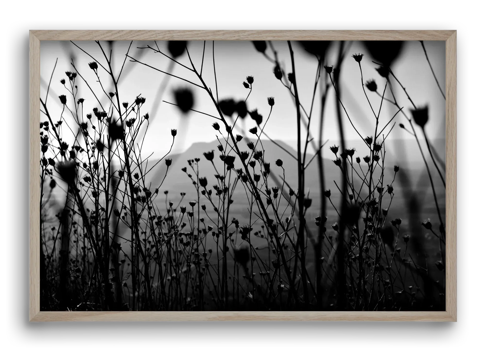Csobanc - artbridge