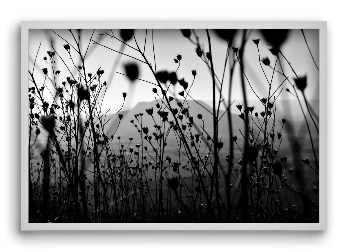 Csobanc - artbridge