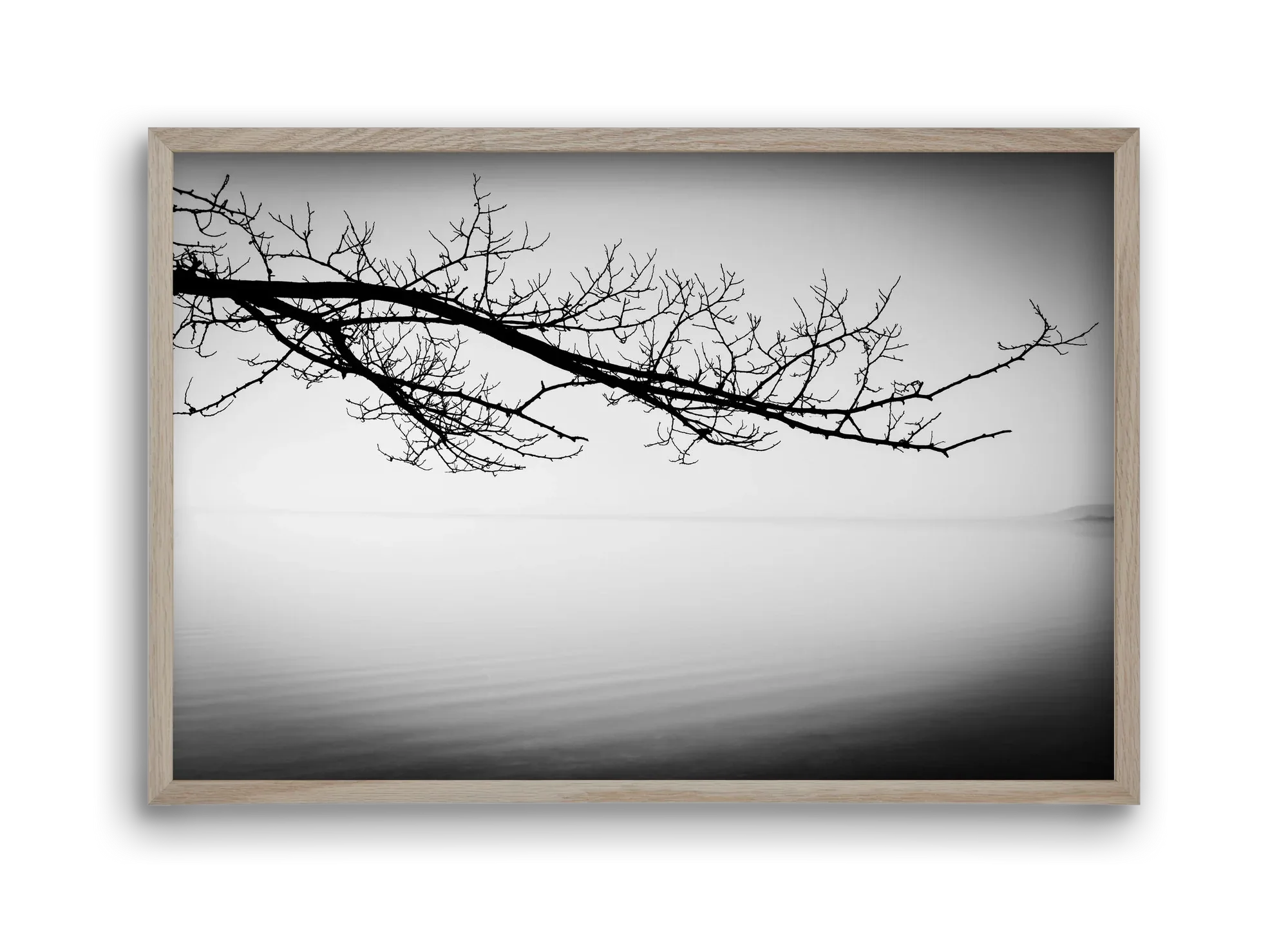 Sajkod - artbridge