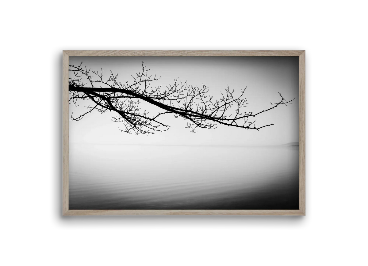 Sajkod - artbridge