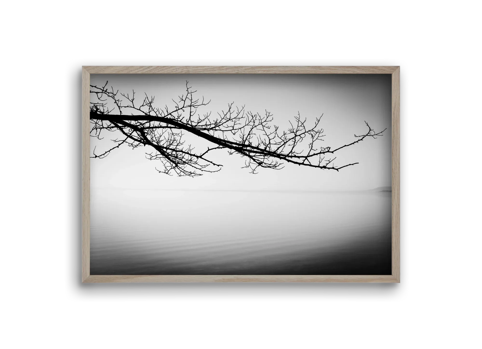 Sajkod - artbridge