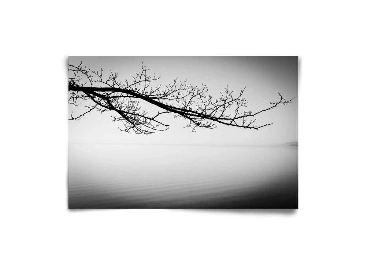 Sajkod - artbridge