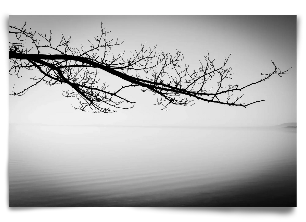 Sajkod - artbridge