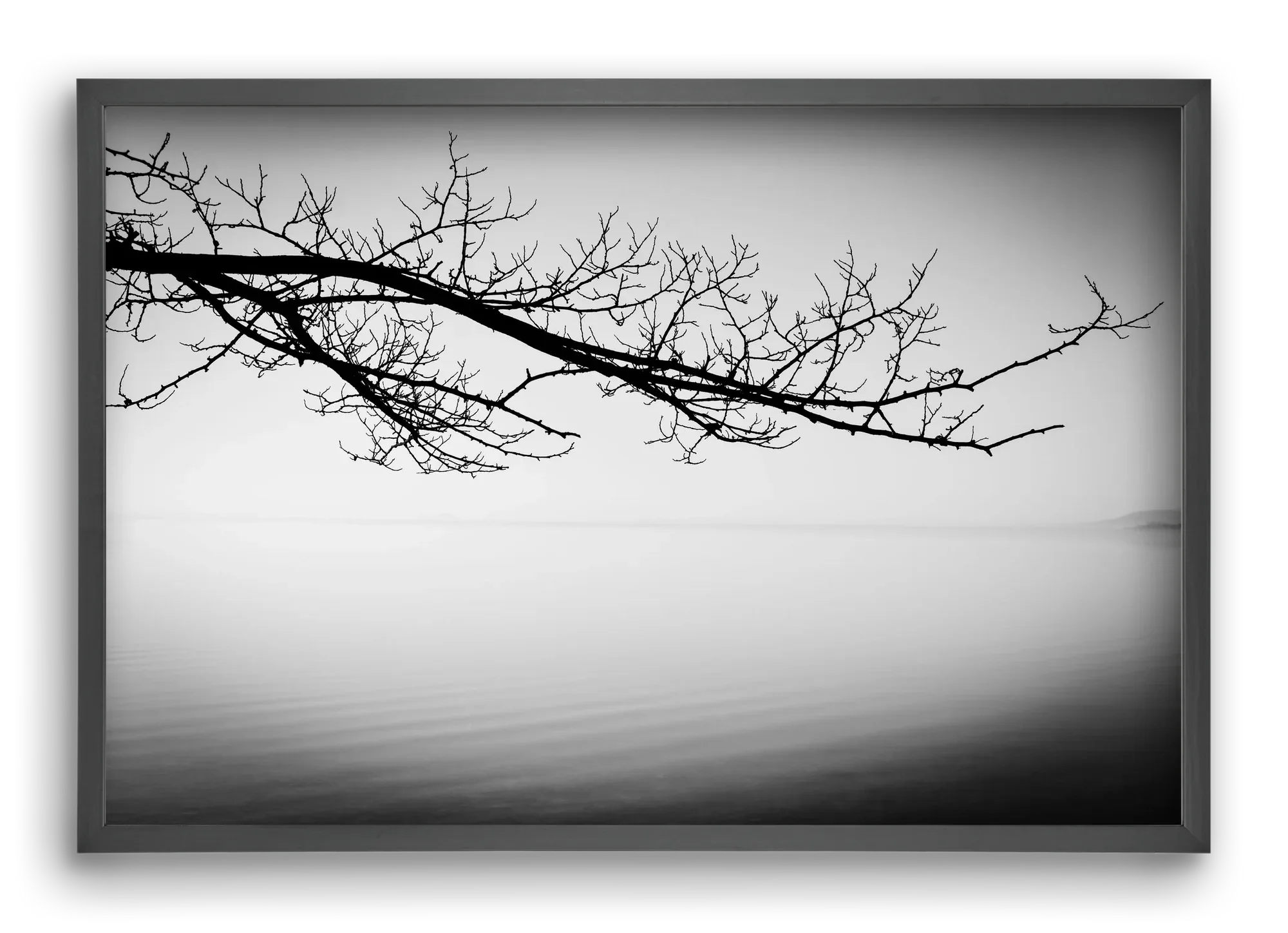 Sajkod - artbridge
