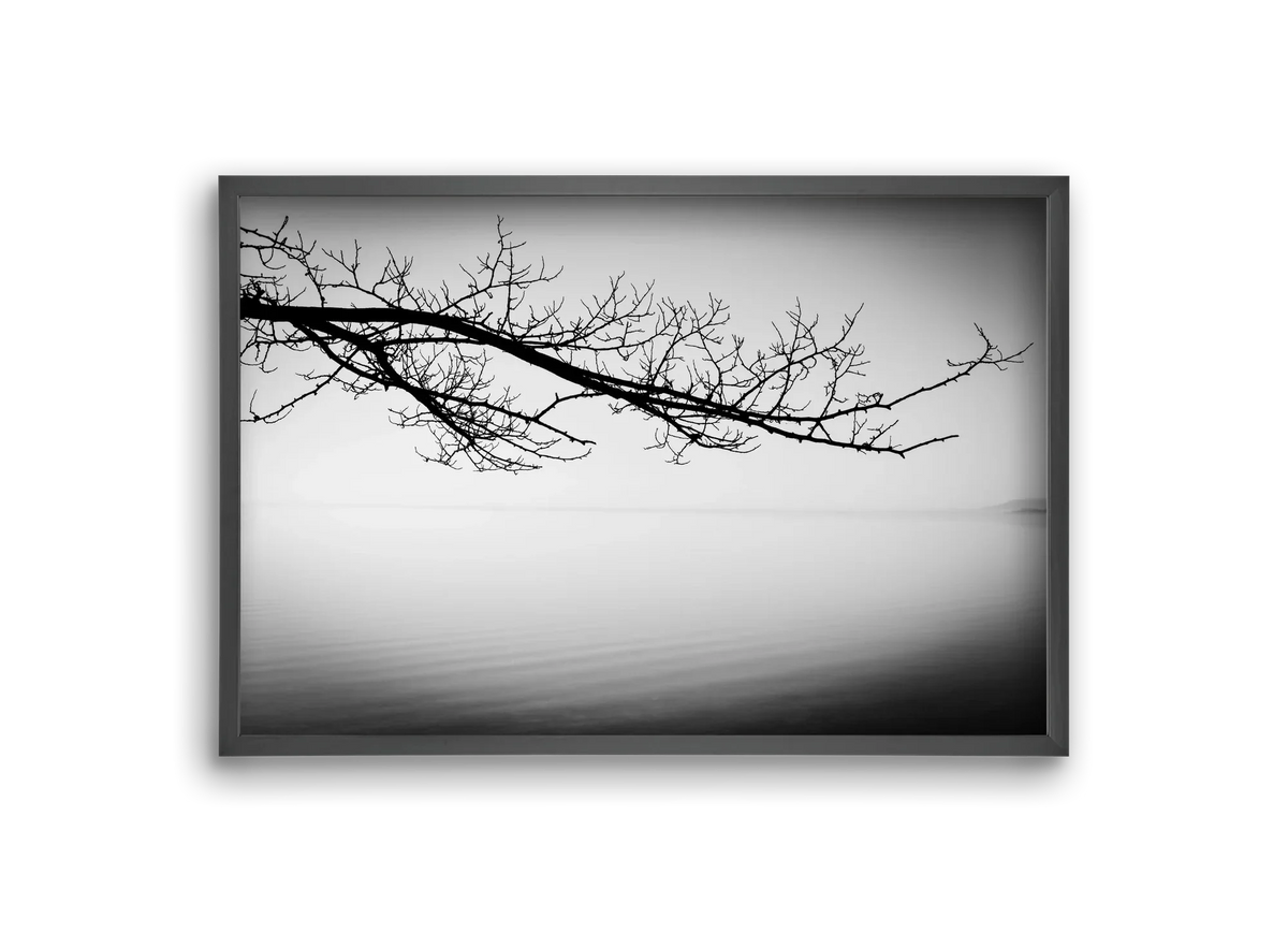 Sajkod - artbridge