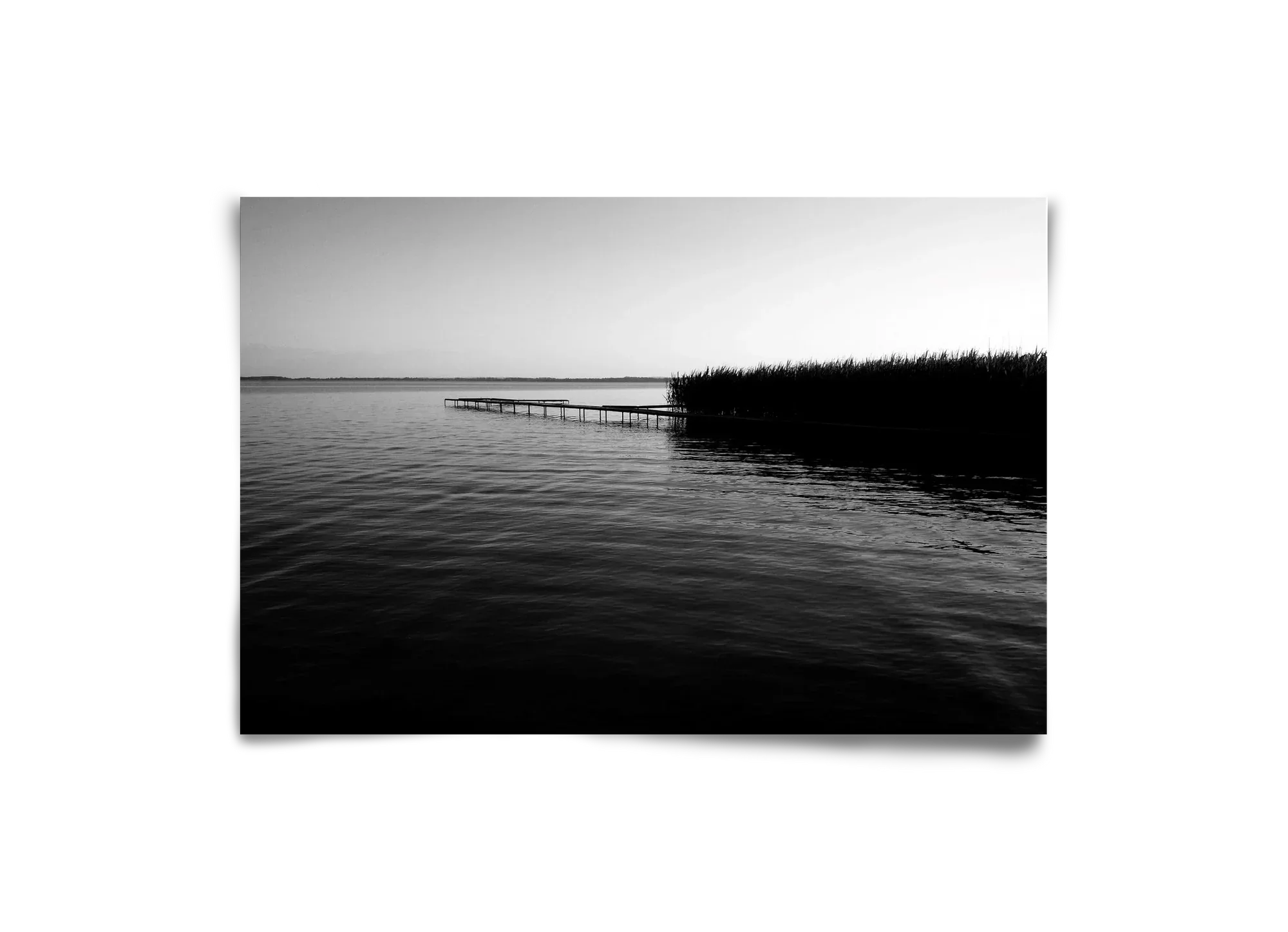 Nostalgia - artbridge