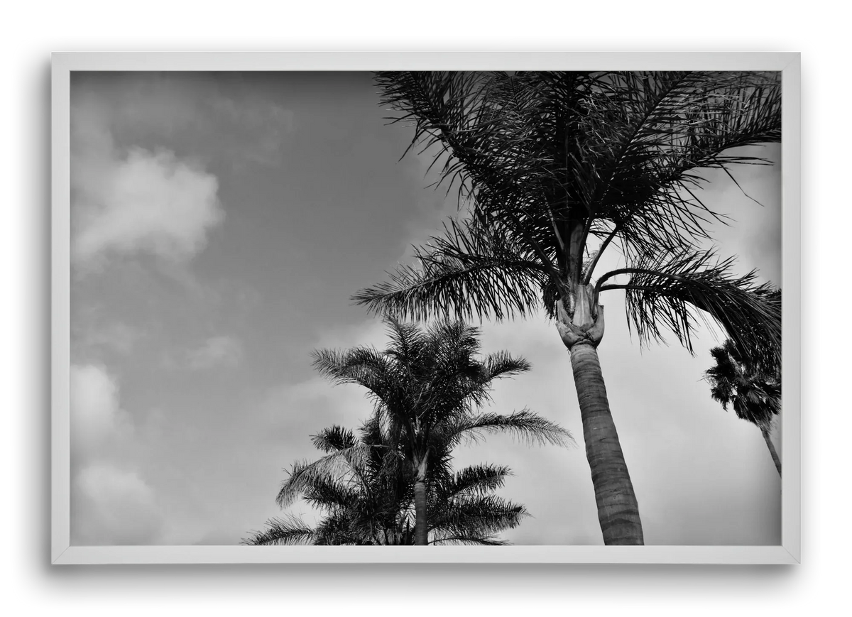 portfolio - artbridge