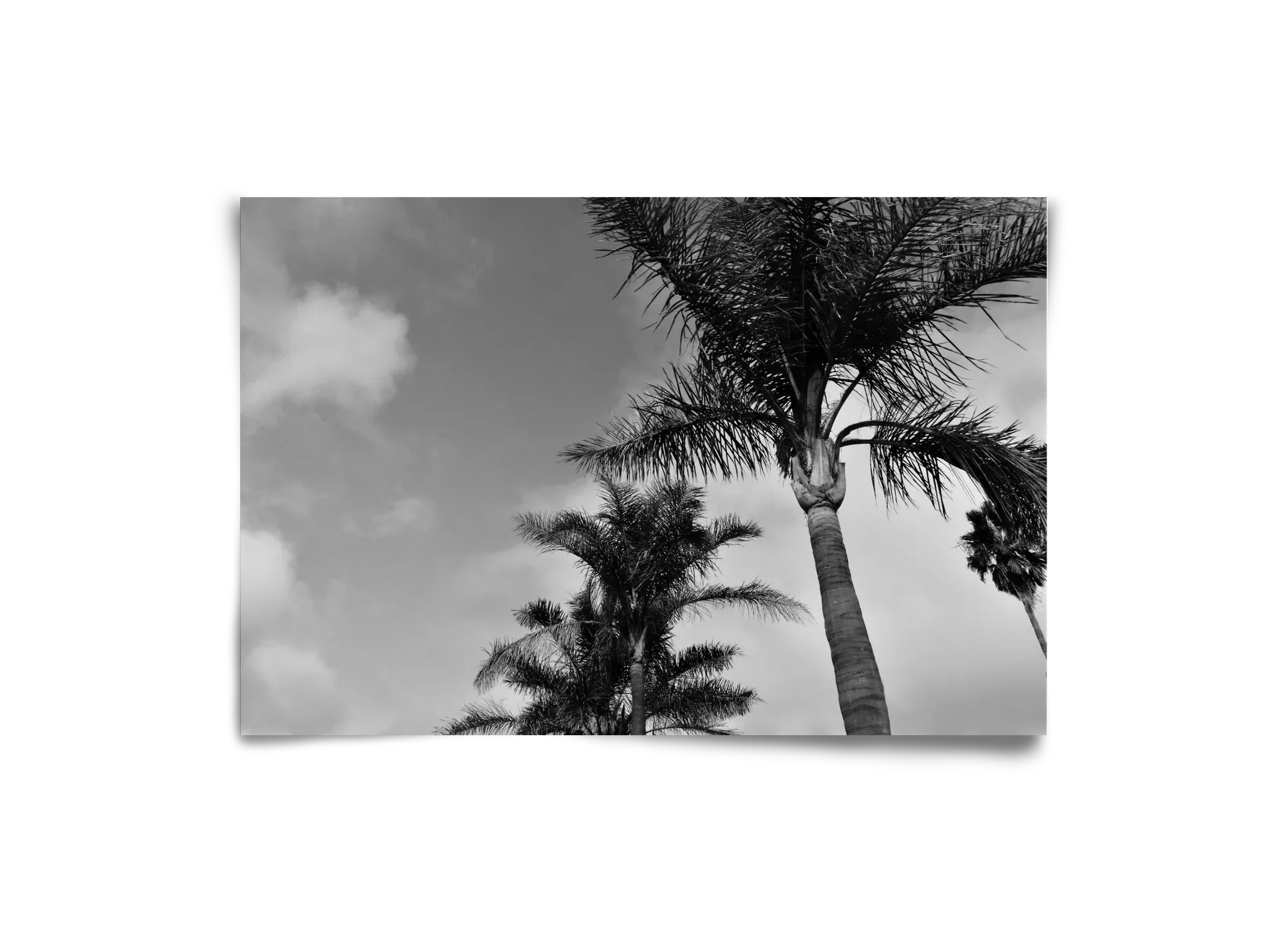 portfolio - artbridge