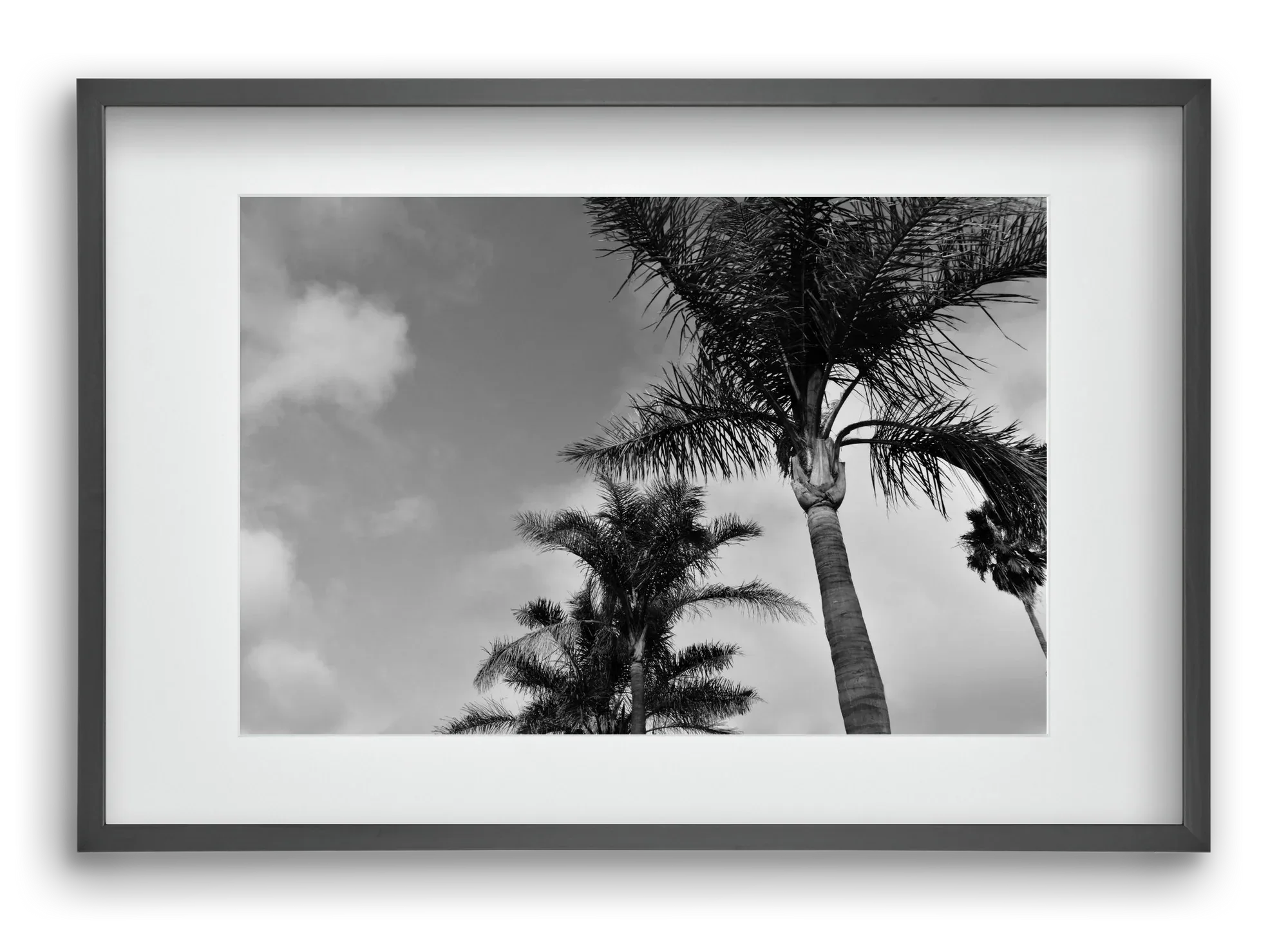 portfolio - artbridge