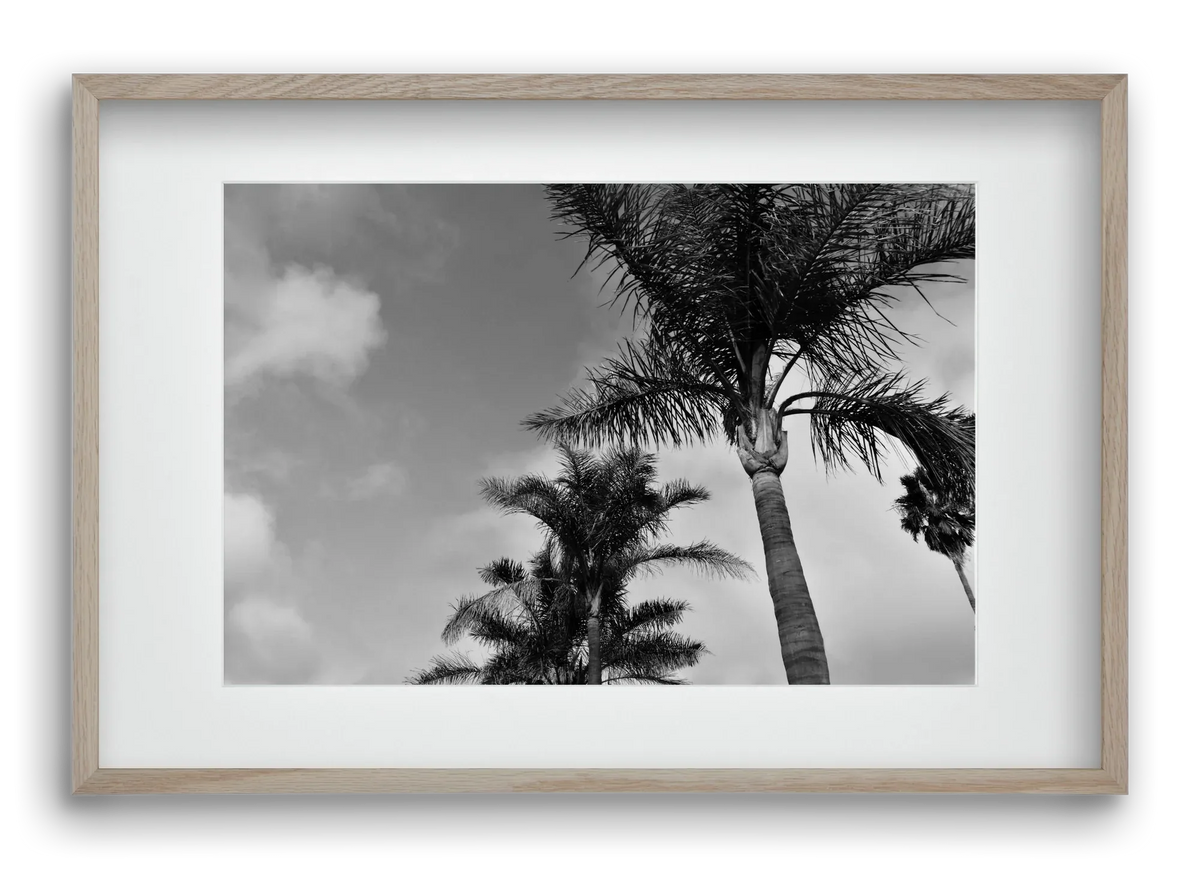 portfolio - artbridge