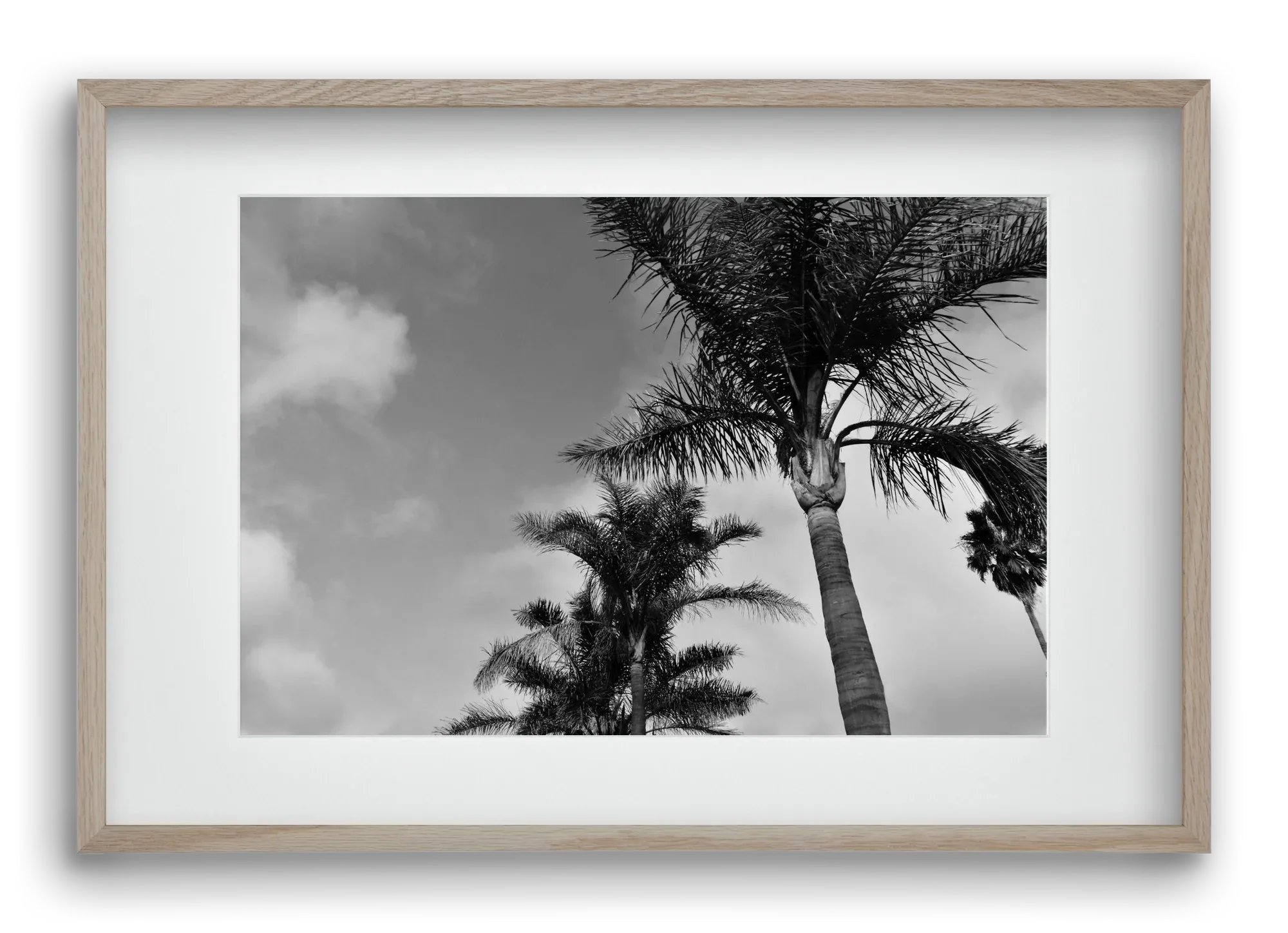 portfolio - artbridge