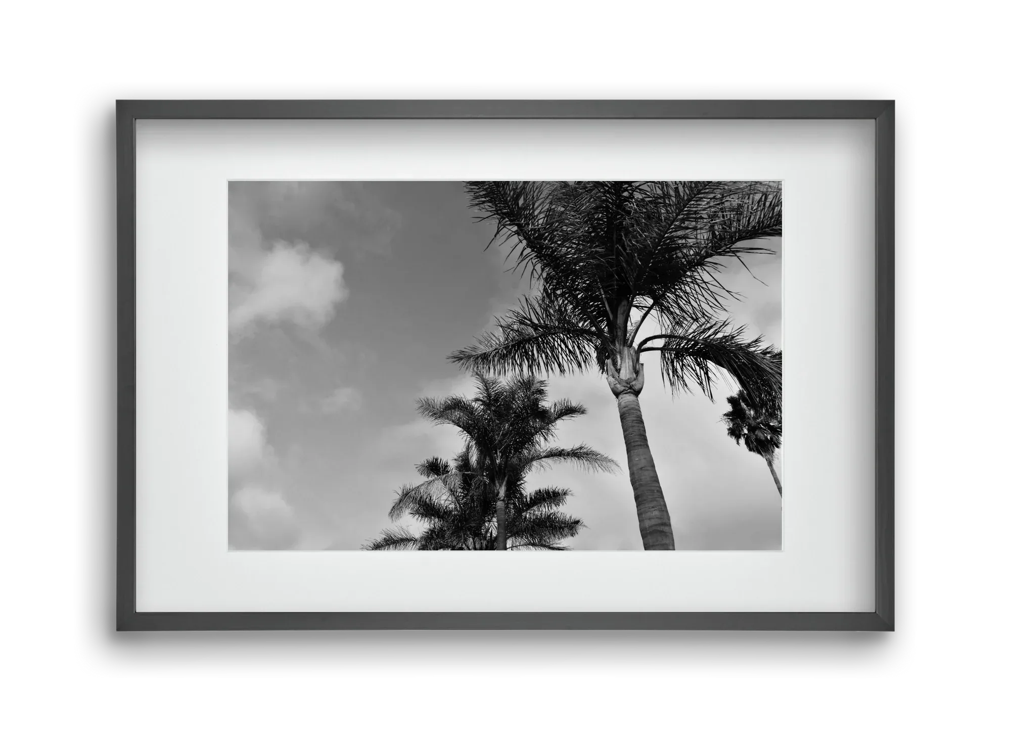 portfolio - artbridge