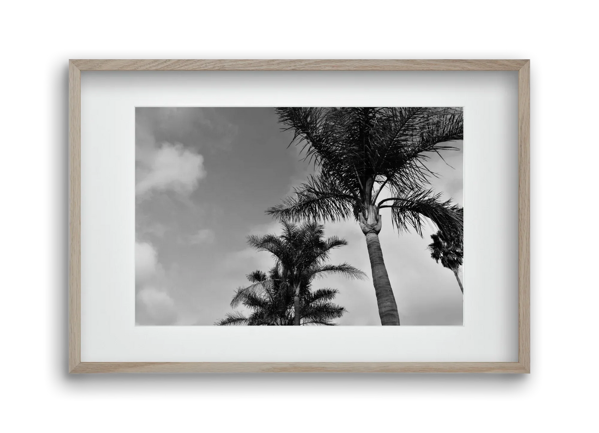 portfolio - artbridge