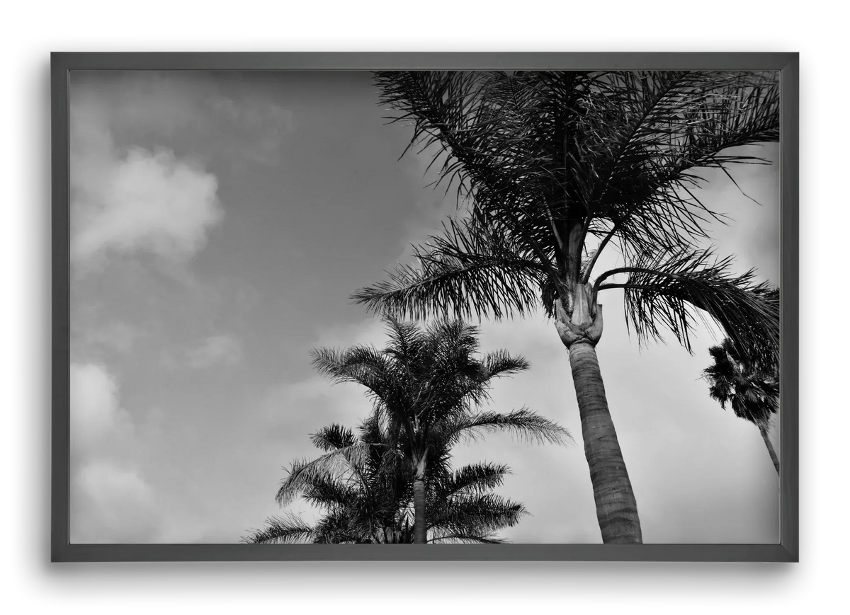 portfolio - artbridge