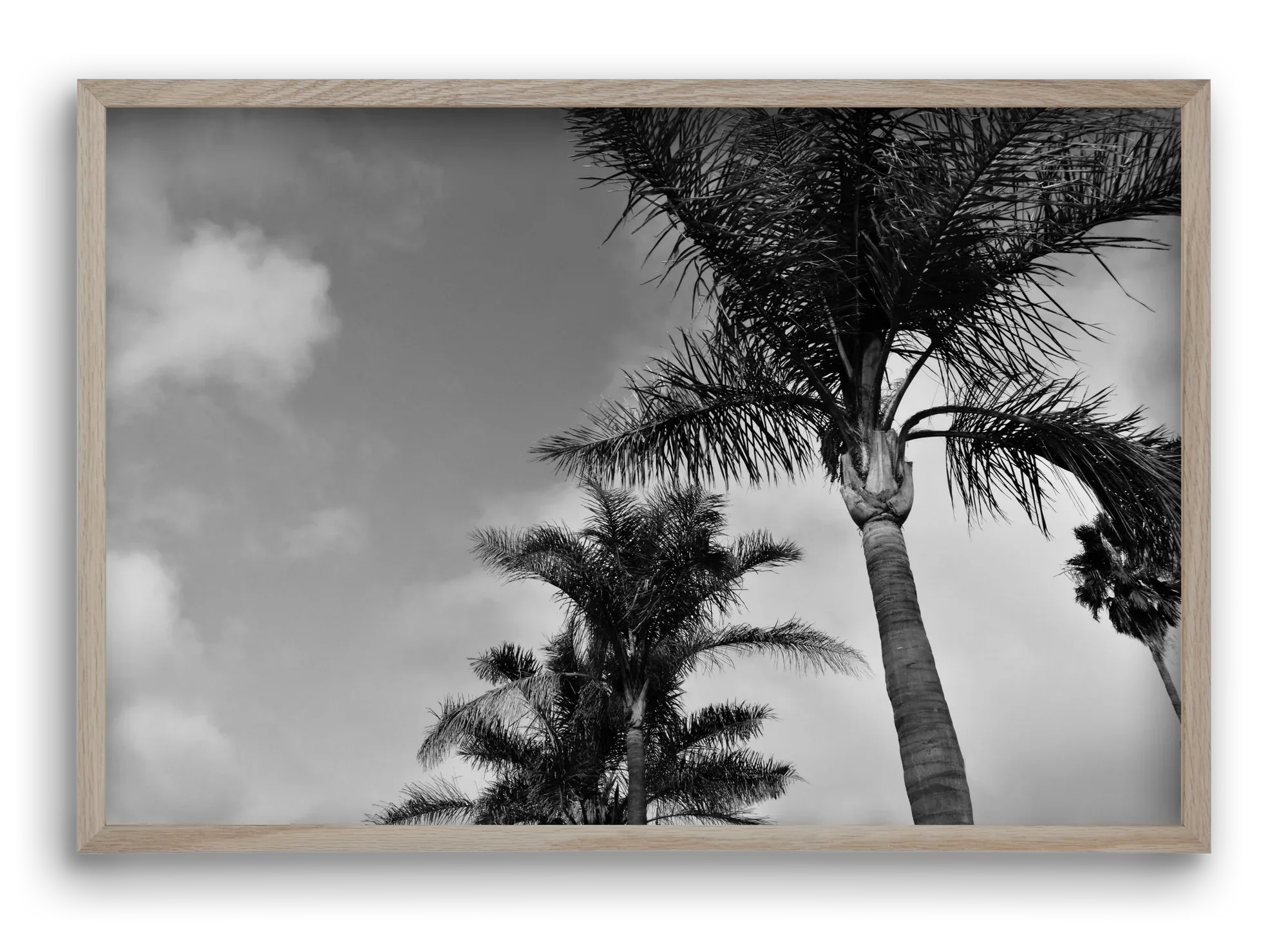 portfolio - artbridge