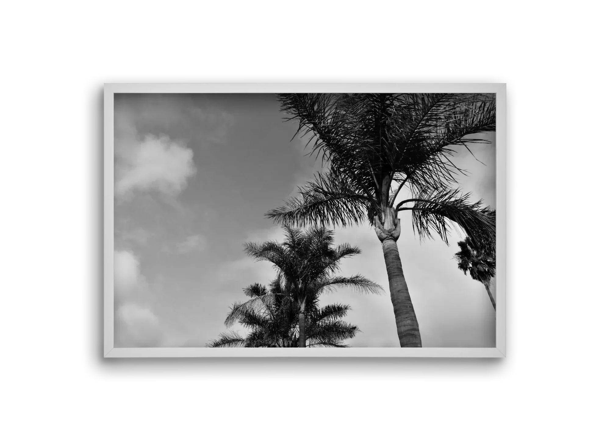 portfolio - artbridge