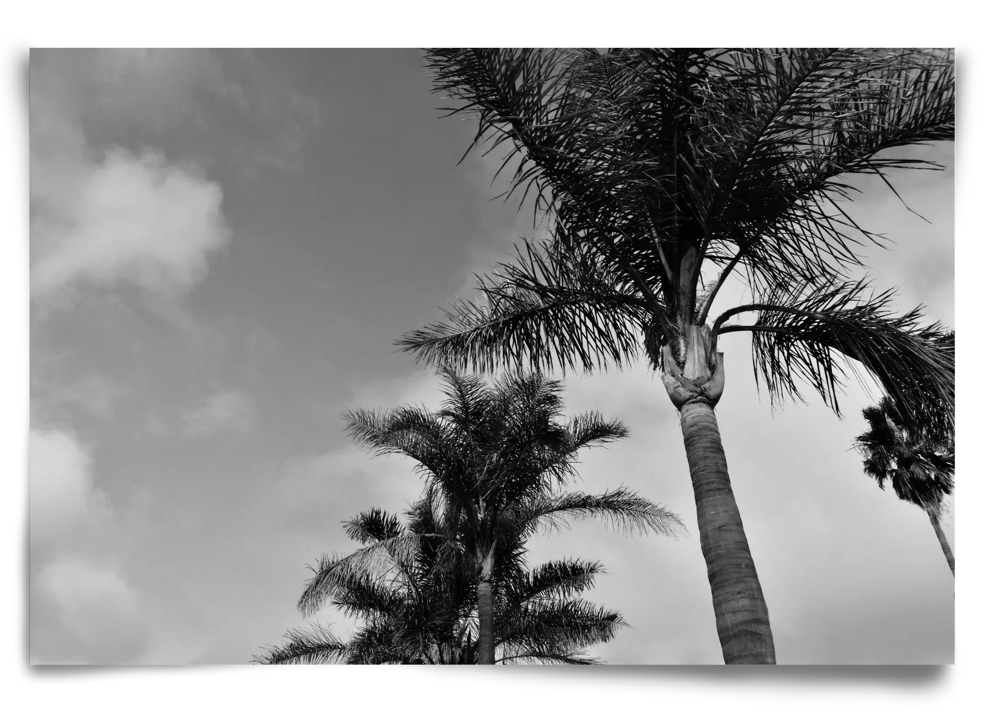 portfolio - artbridge