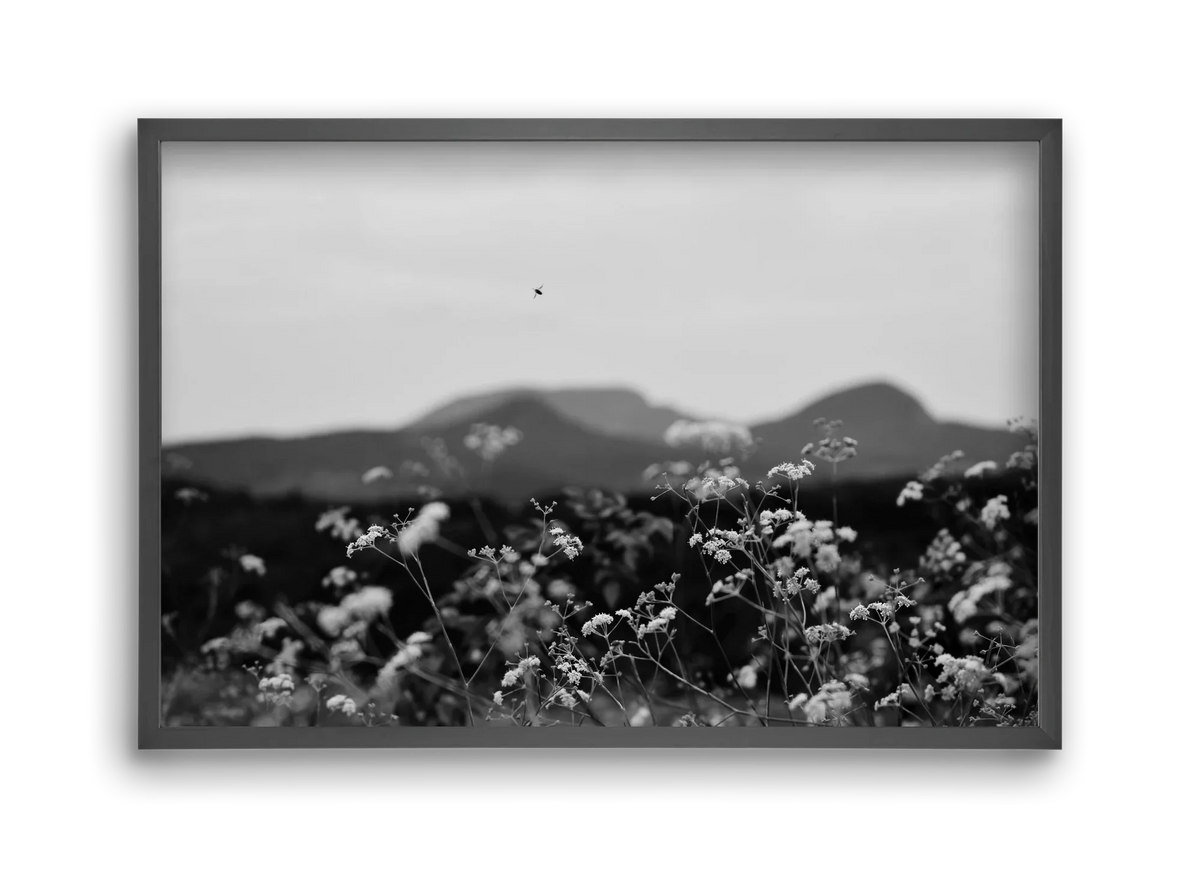 Low Giants - artbridge