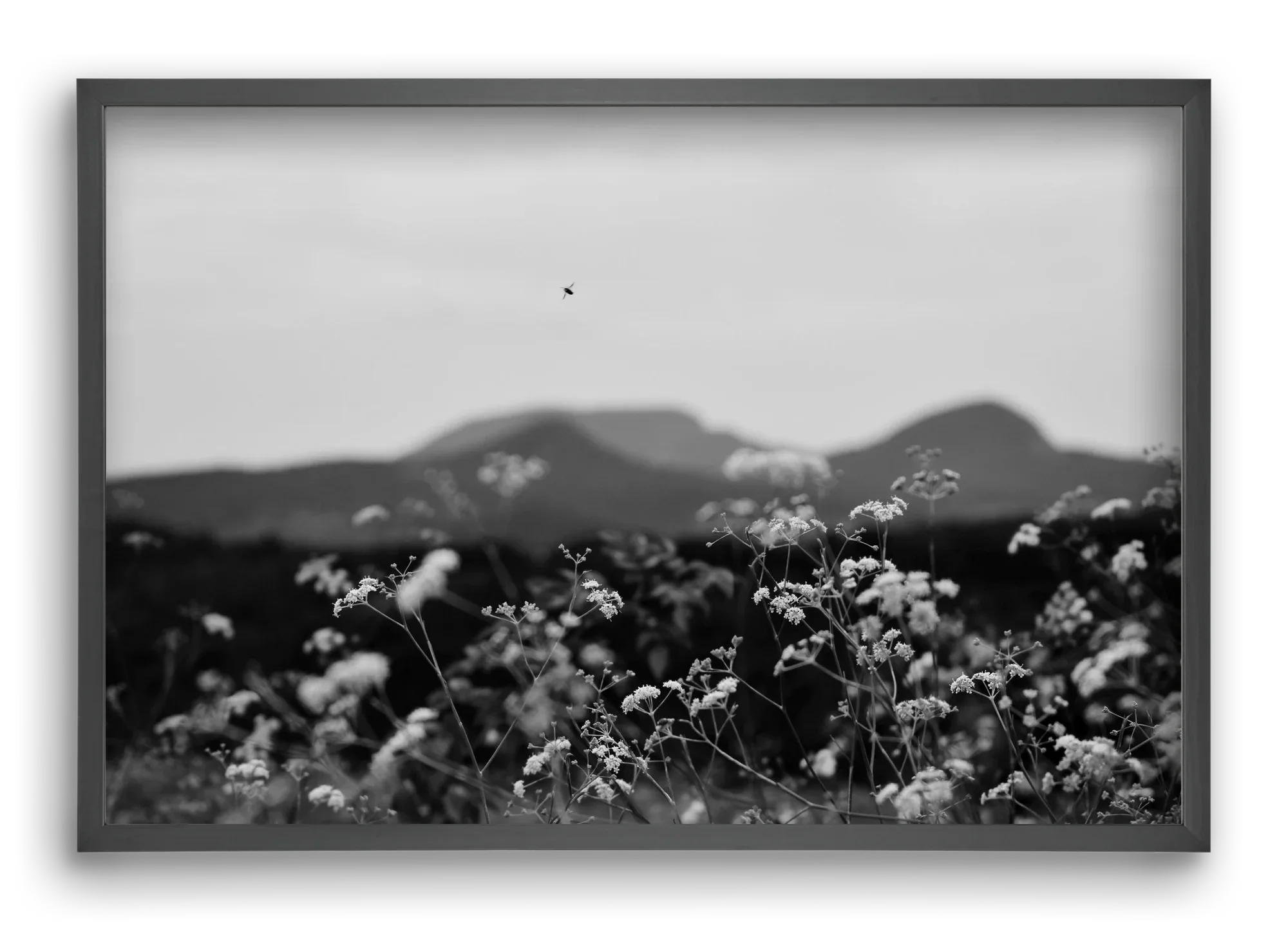 Low Giants - artbridge