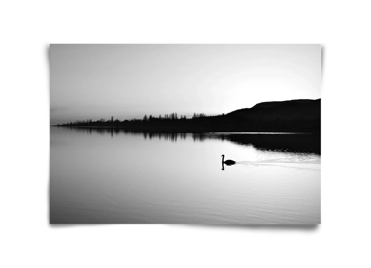 Sundress - artbridge