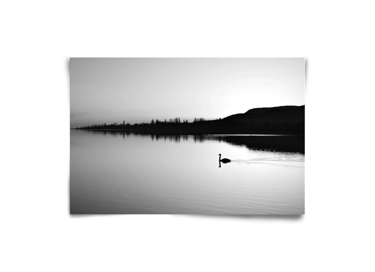 Sundress - artbridge