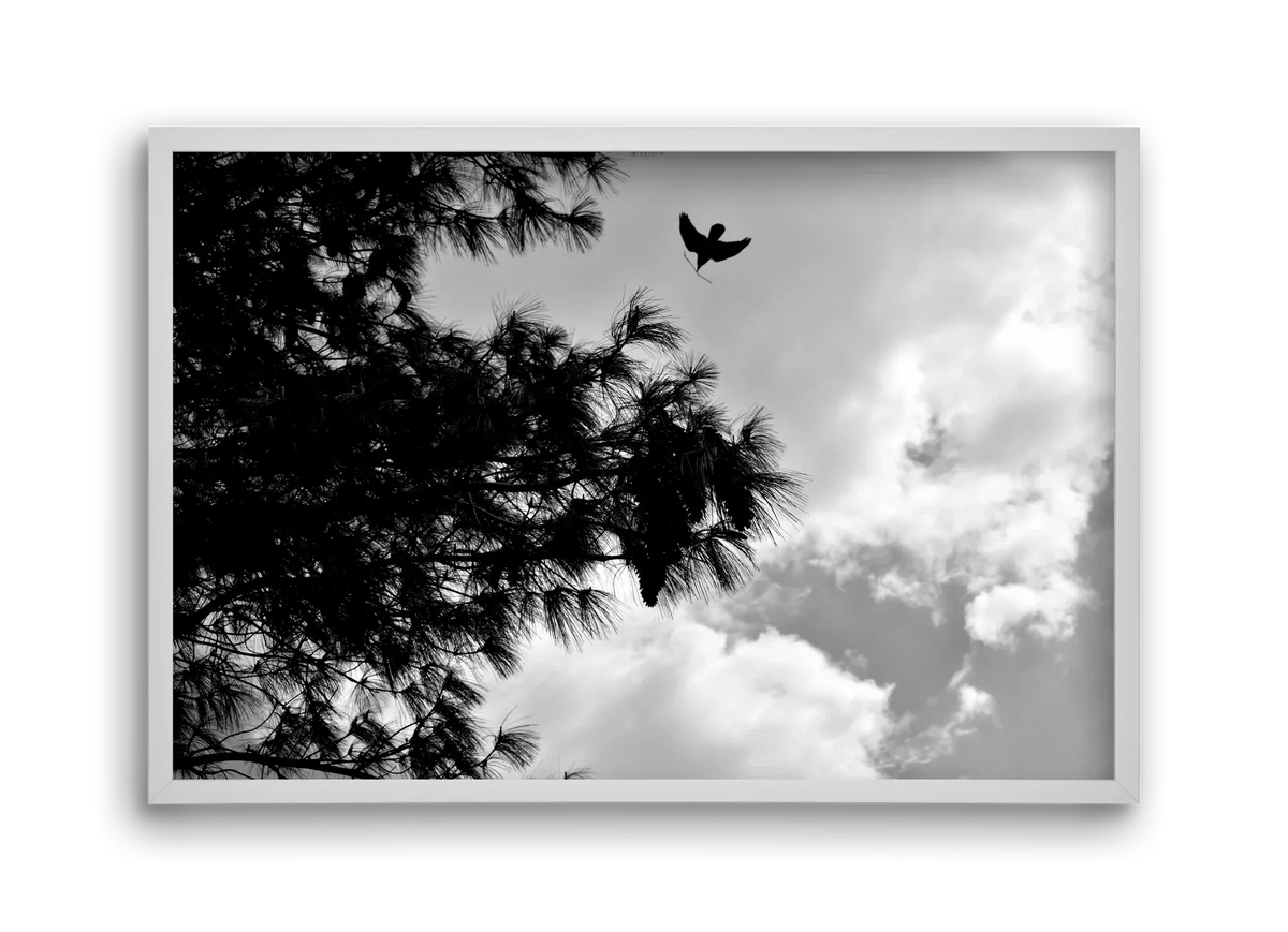 CARE - artbridge