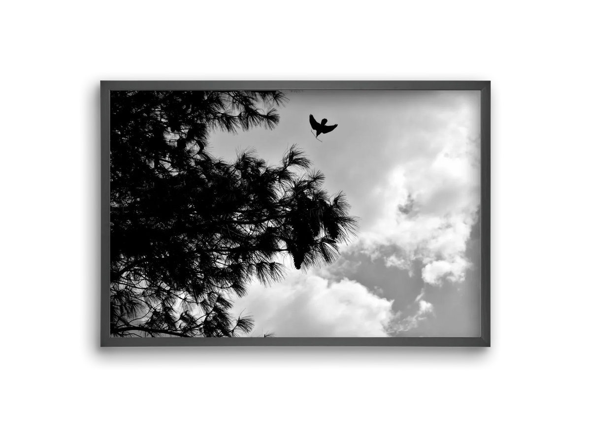 CARE - artbridge