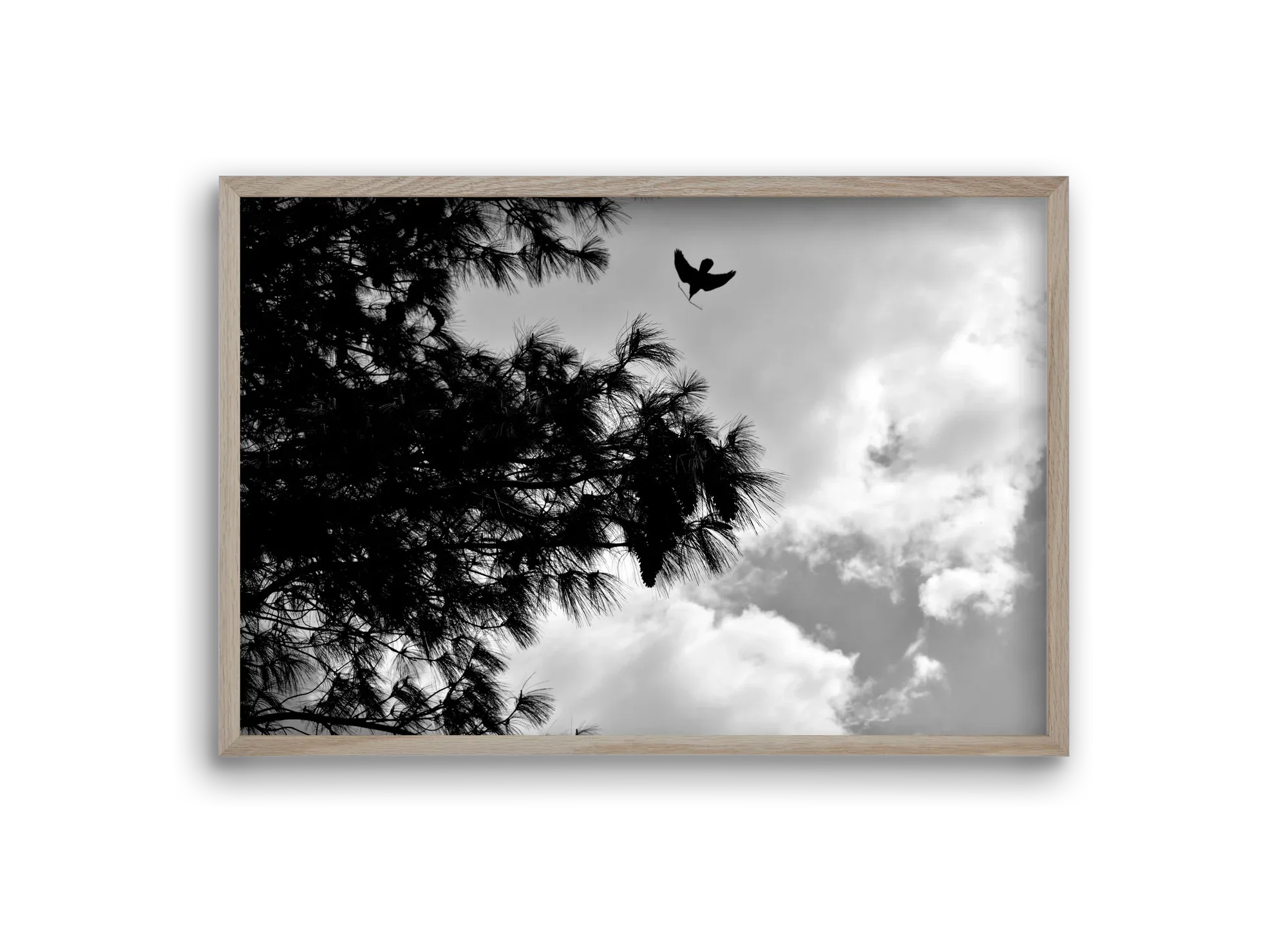 CARE - artbridge