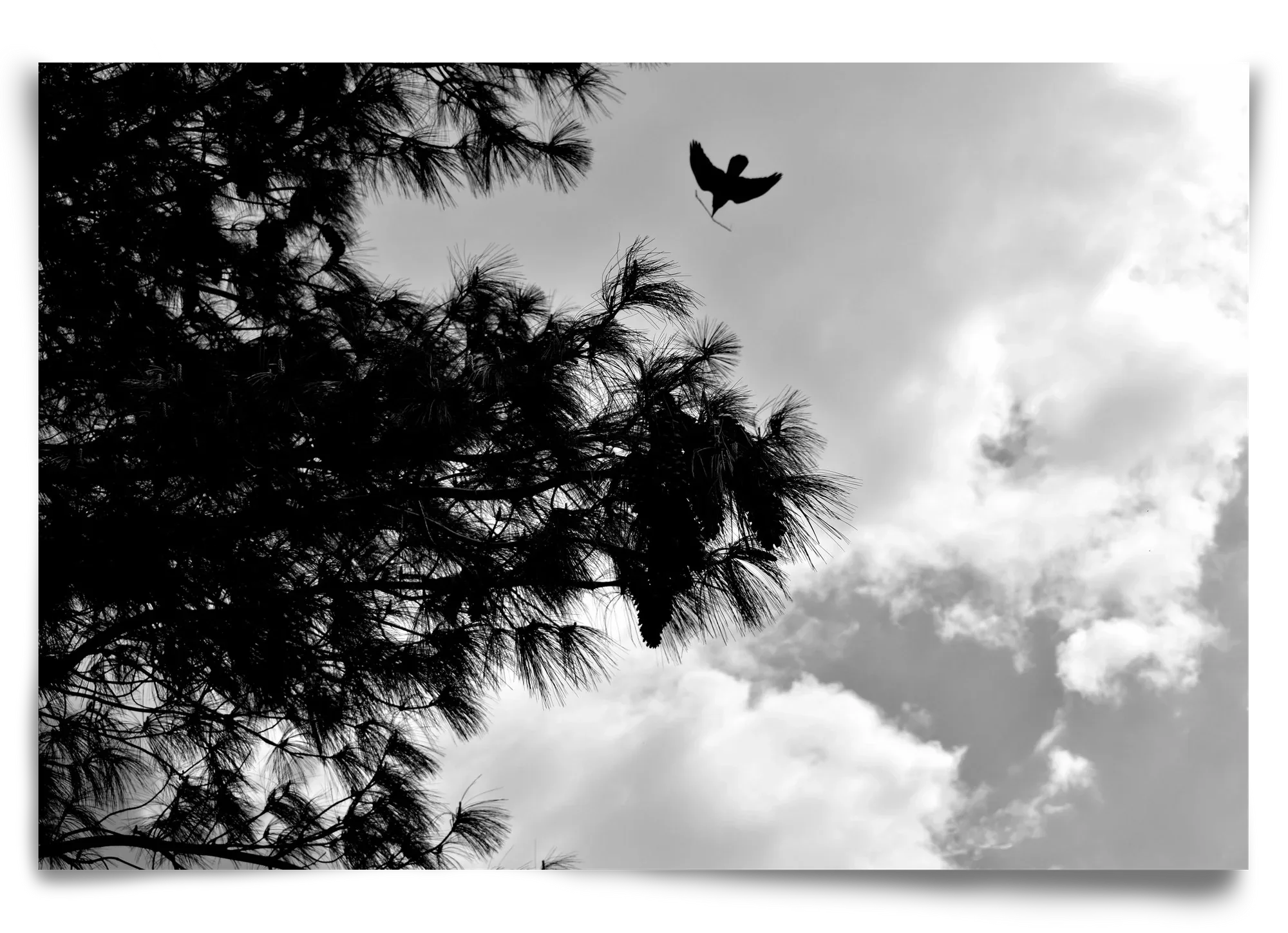 CARE - artbridge