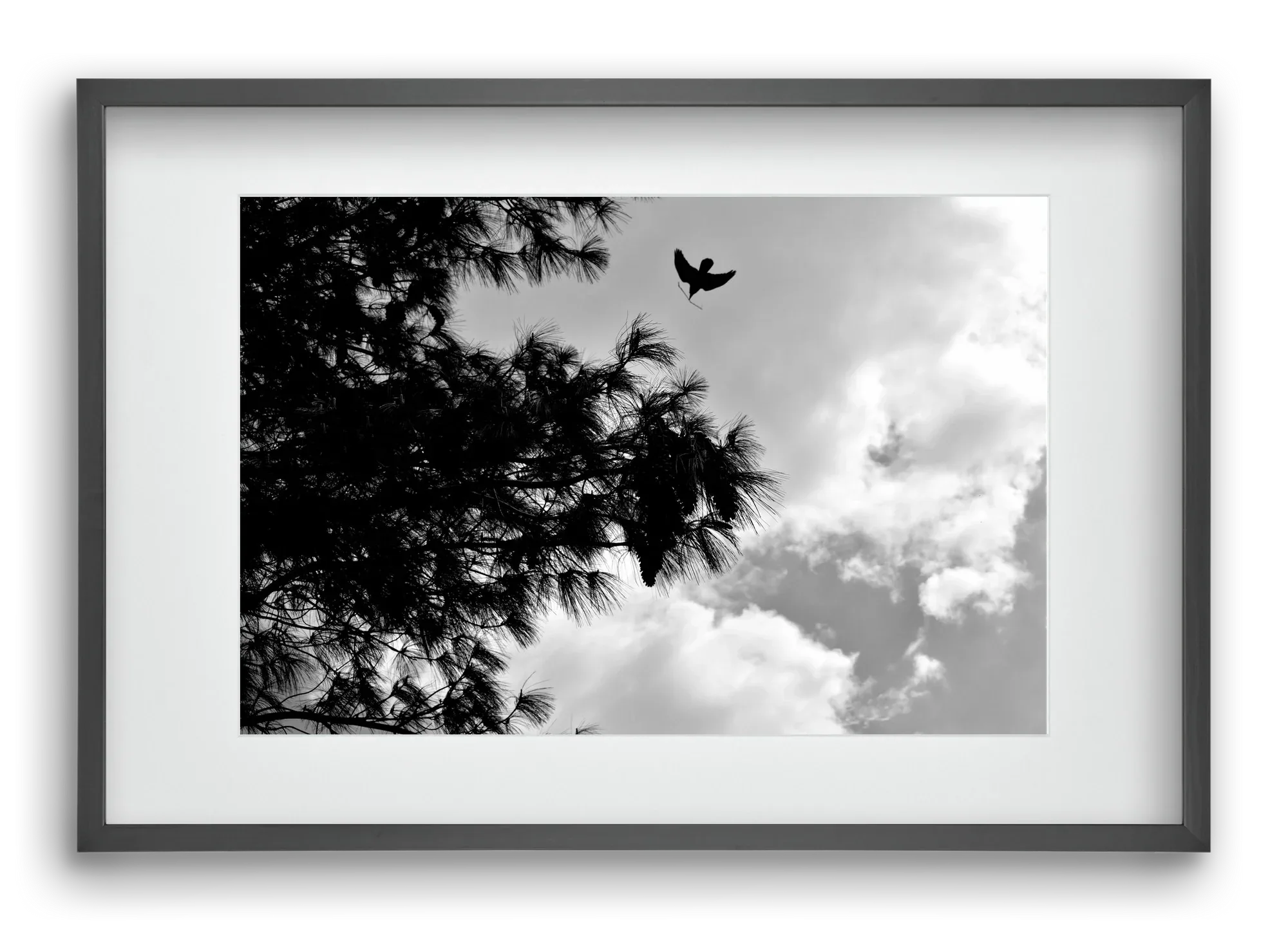CARE - artbridge