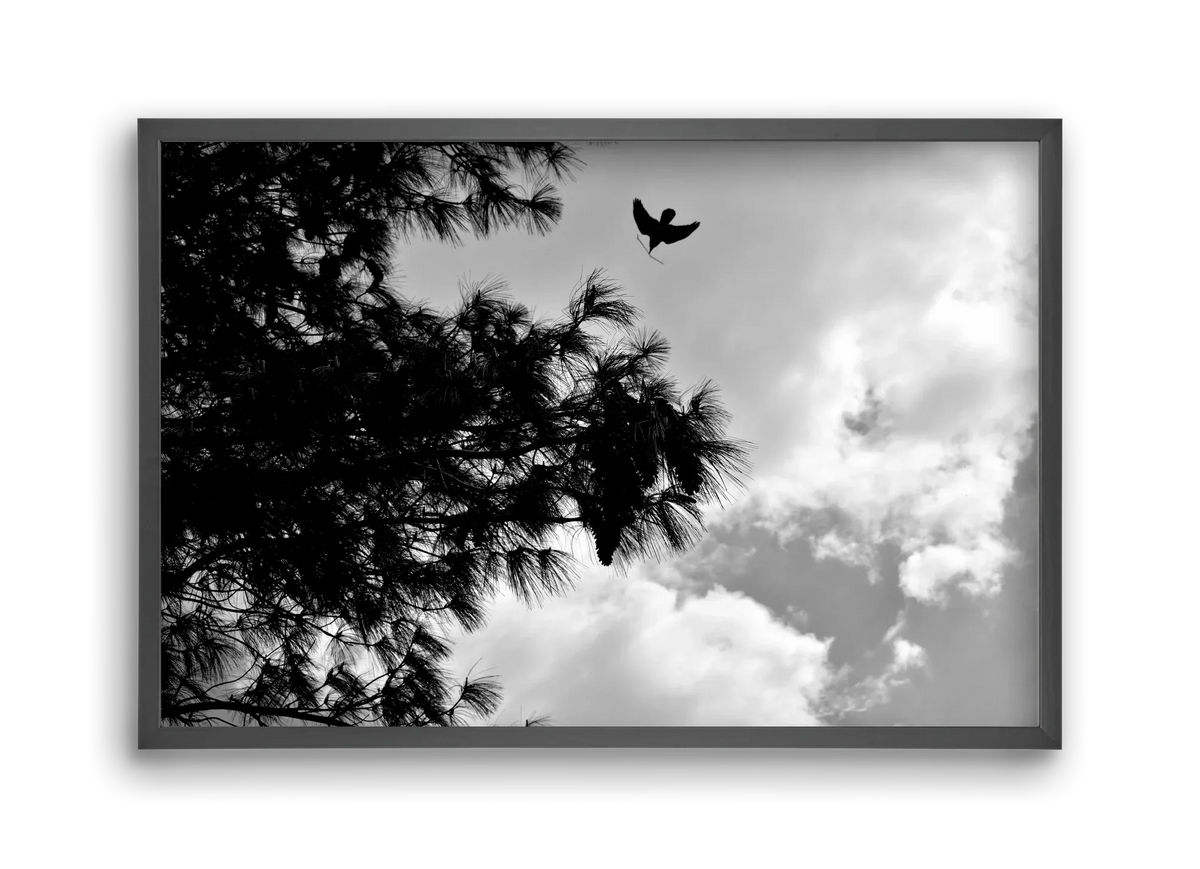 CARE - artbridge