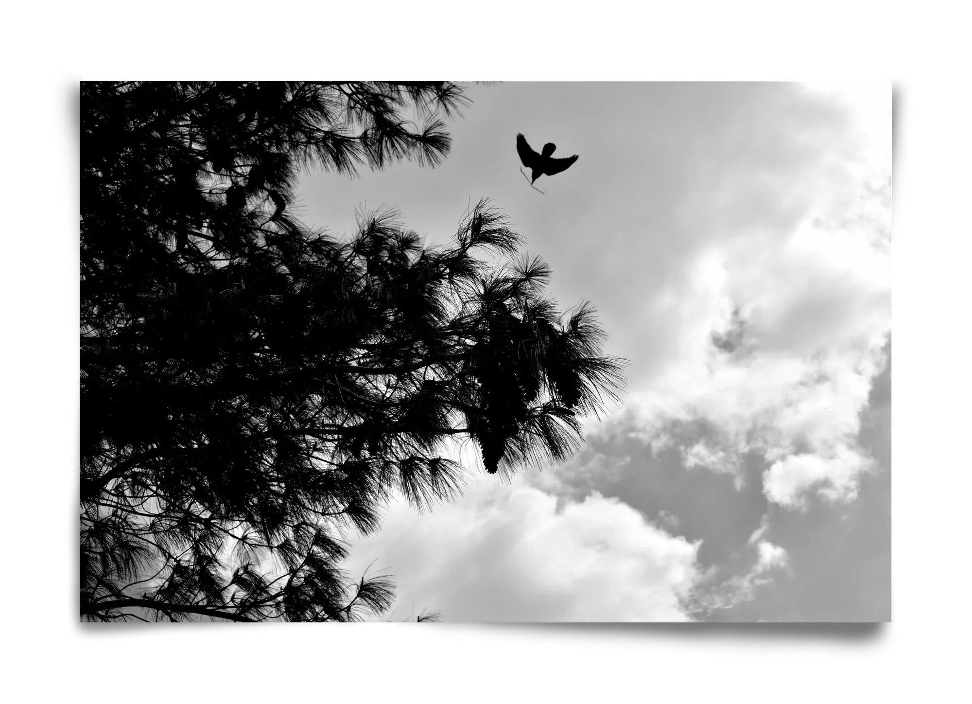 CARE - artbridge