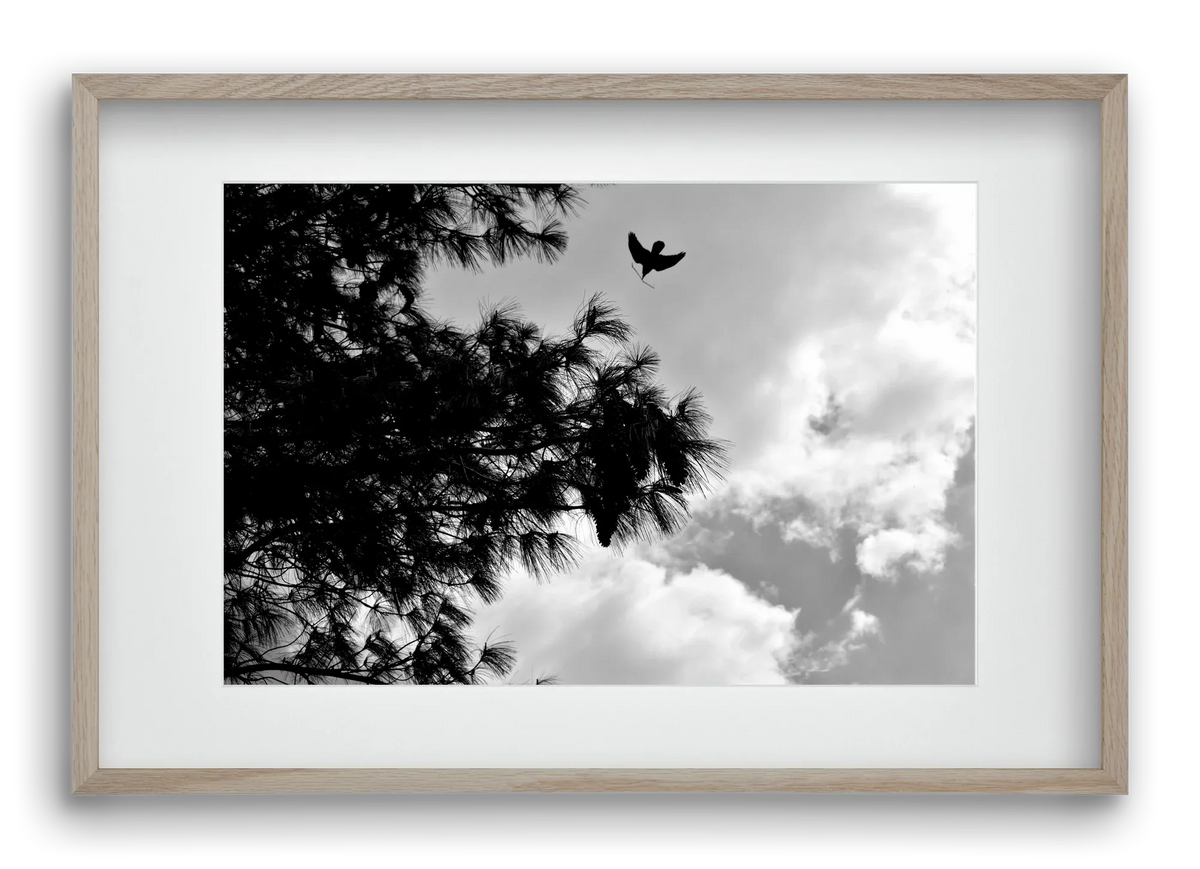 CARE - artbridge