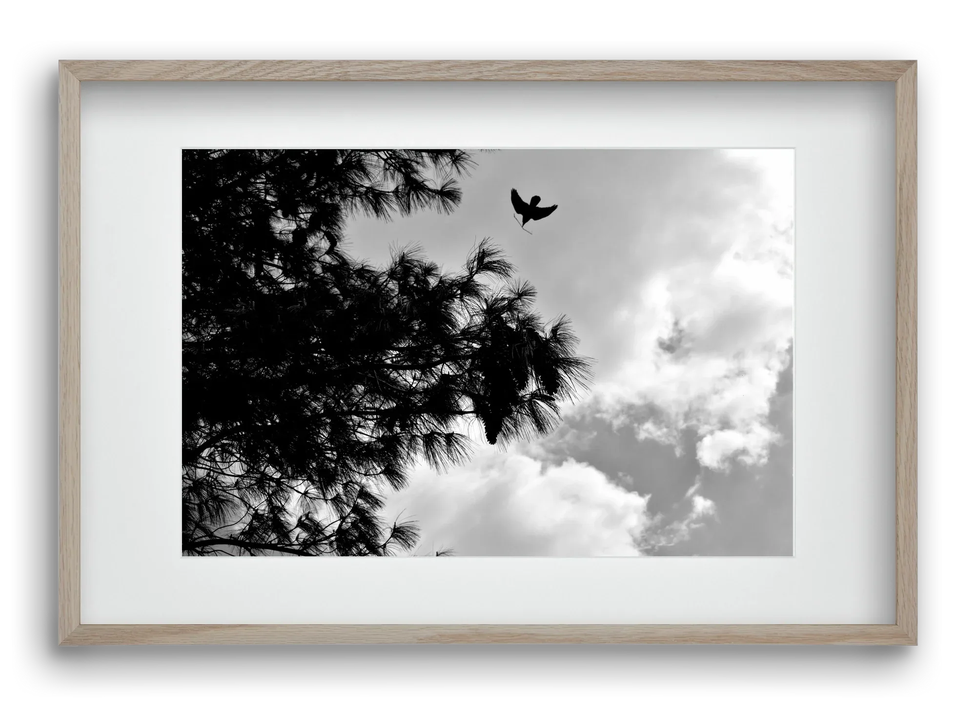 CARE - artbridge